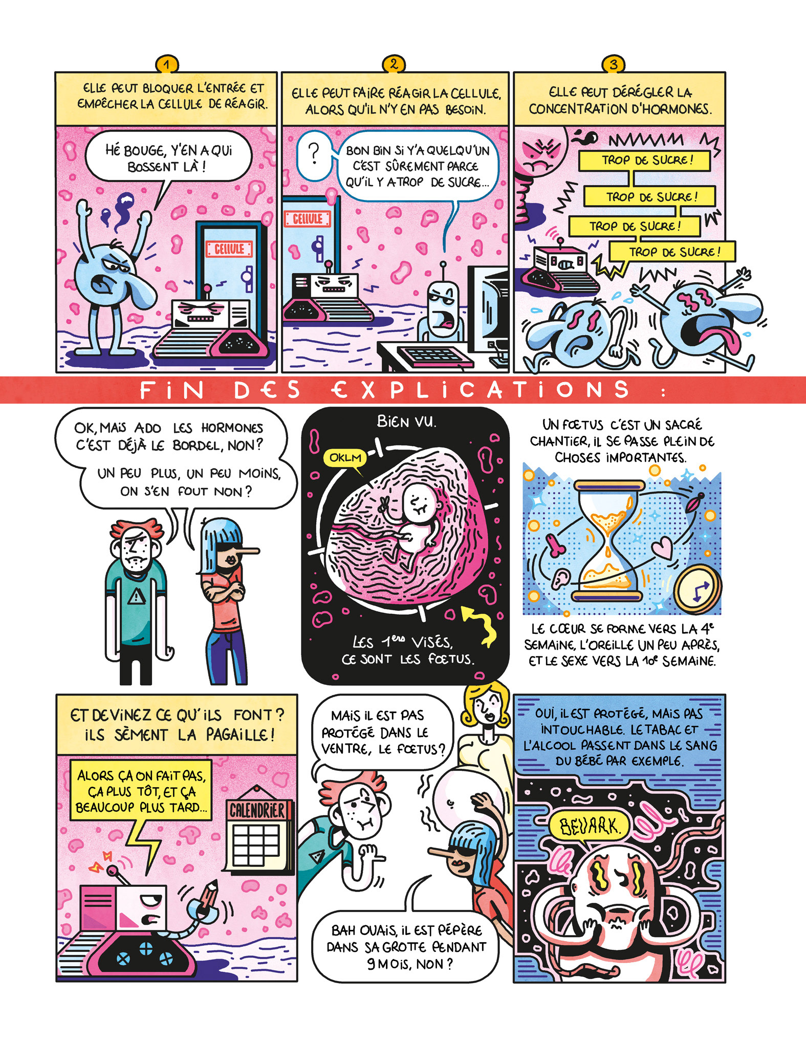 Topo - les perturbateurs endocriniens