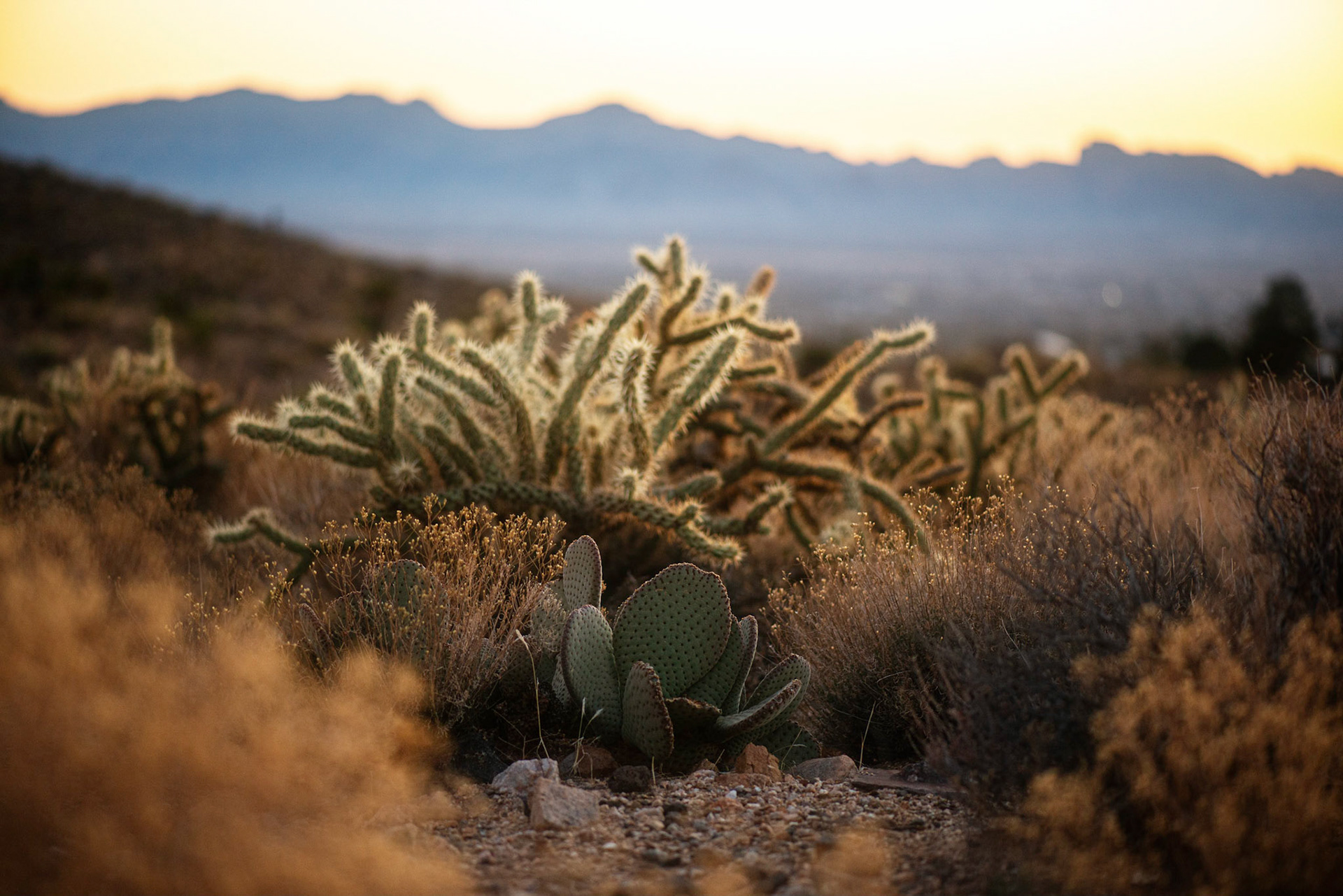golden valley, arizona