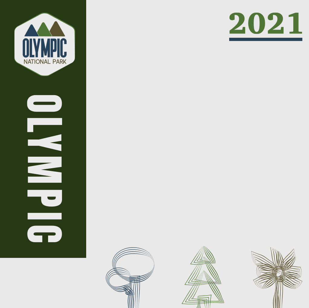 Flat Design- CD Cover