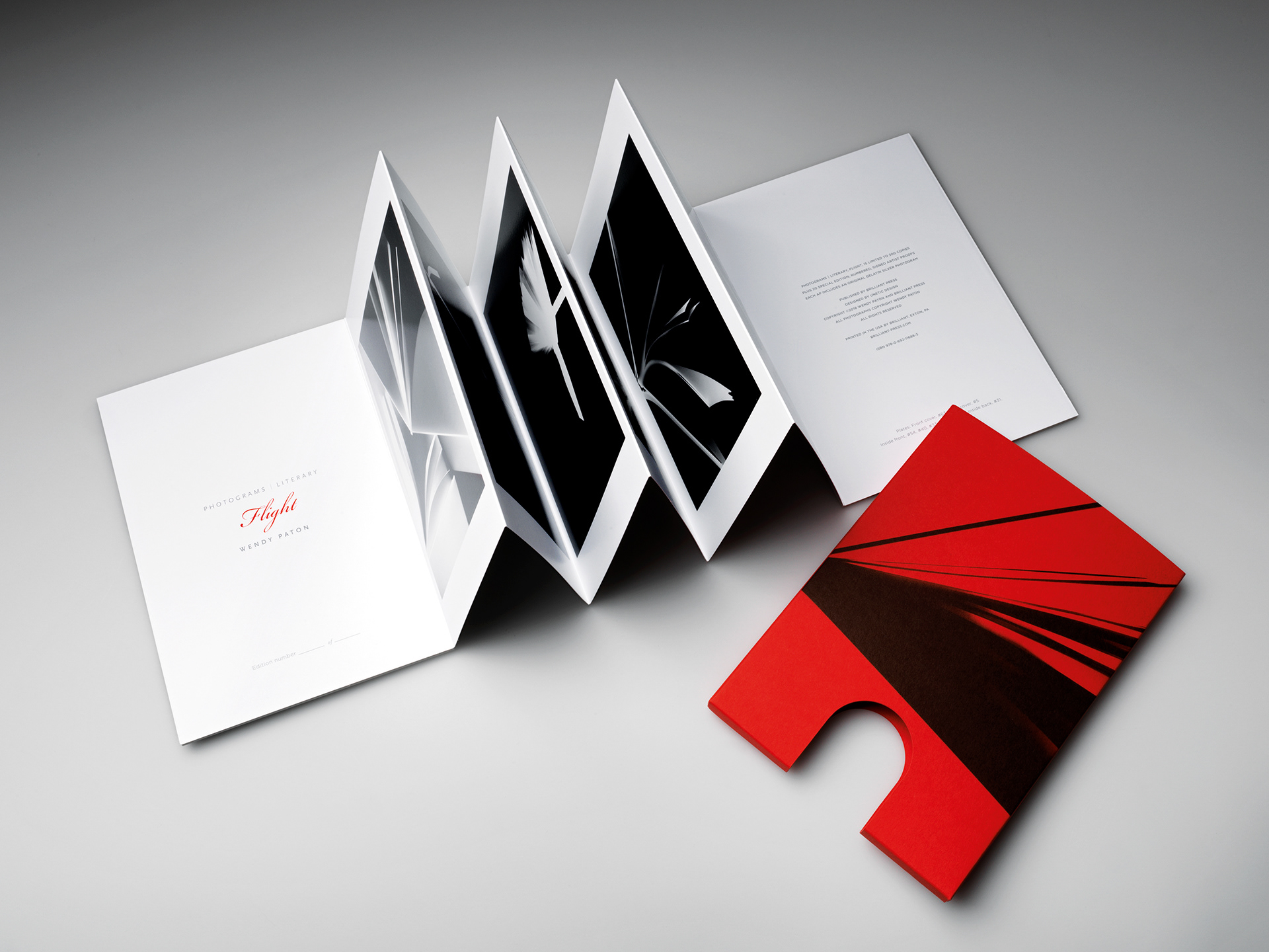 Design Accordion Fold Photography Book in Custom Slipcase