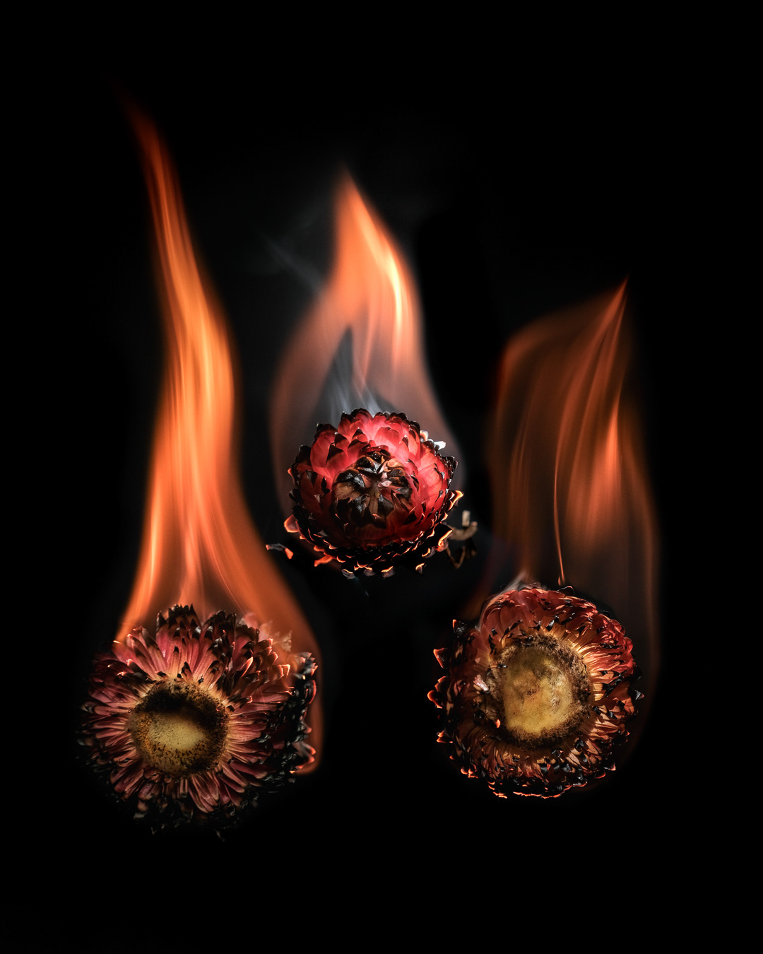 Day 11 Fire