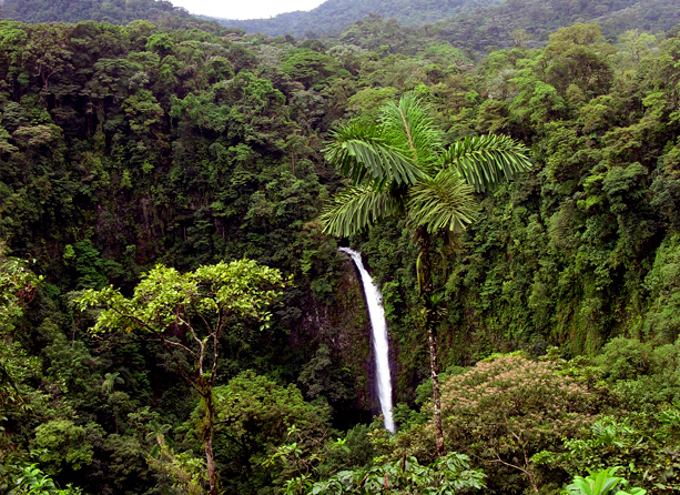 Monteverde, Puntarenas.
