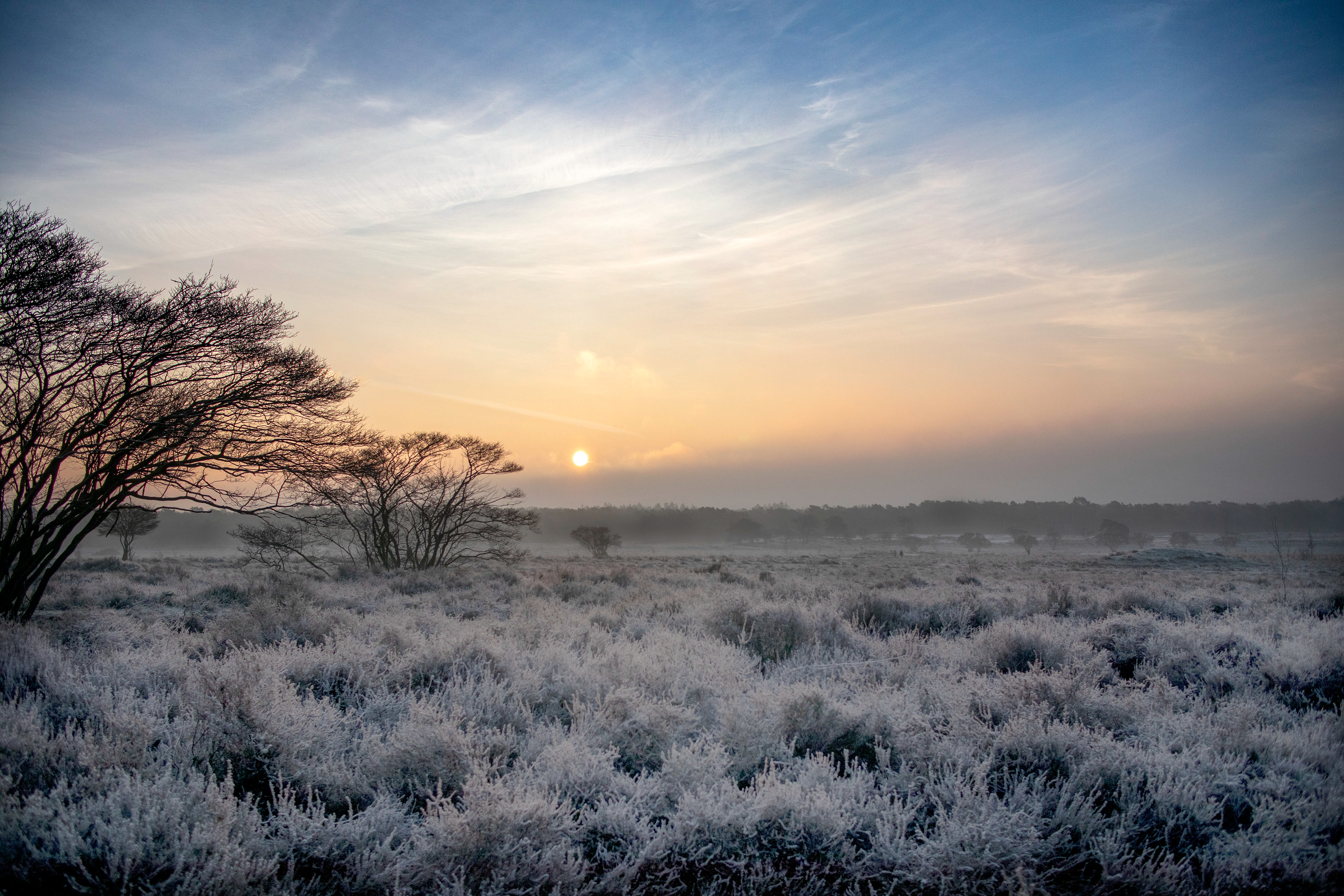 Zuiderheide, Laren