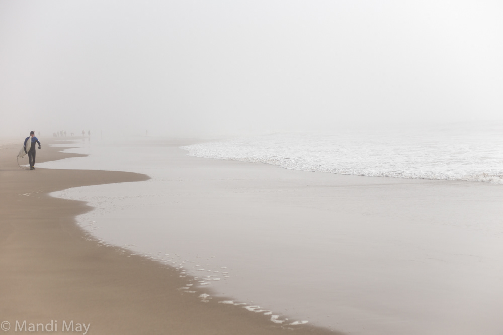 Seashore Oasis