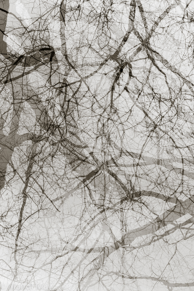 Intermingle