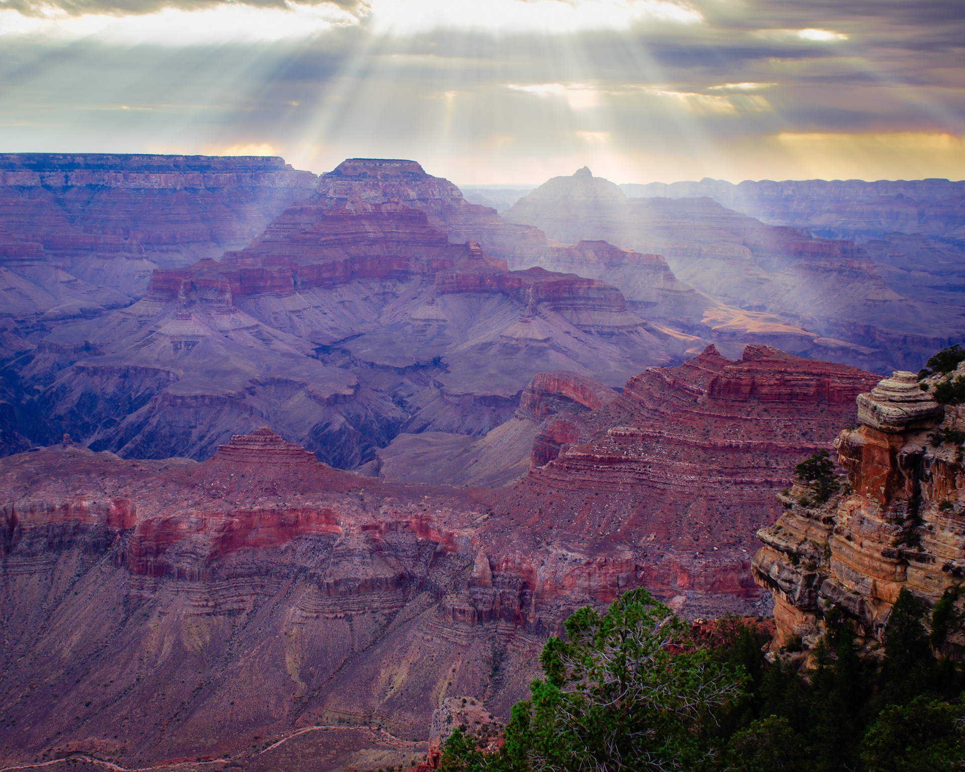 "Morning Inspection" | Grand Canyon National Park