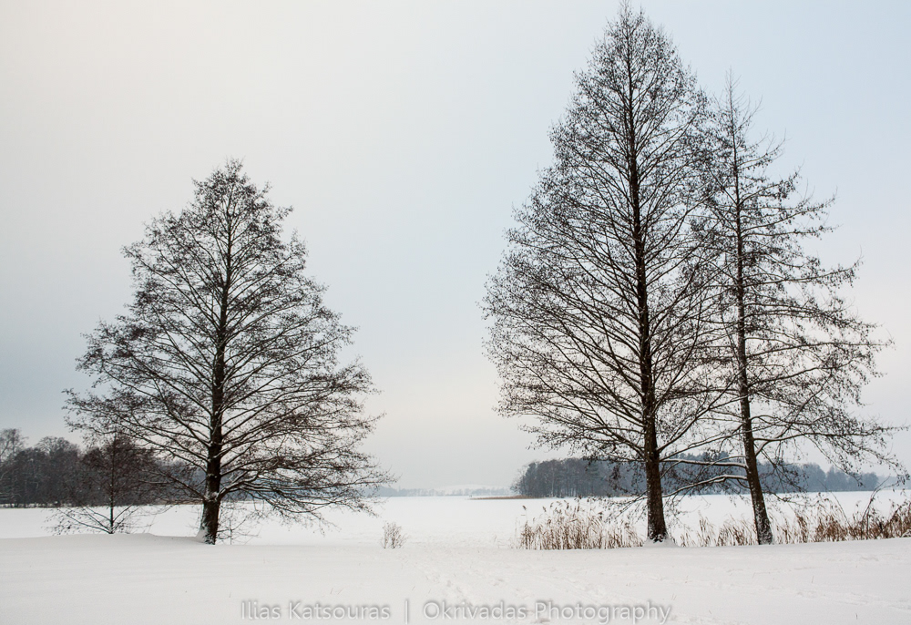 lithuania lietuva trakai frozen lake landscape winter λιθουανία χειμώνας τοπίο παγωμένη λίμνη τράκαι
