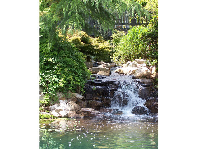 Maymont Waterfall