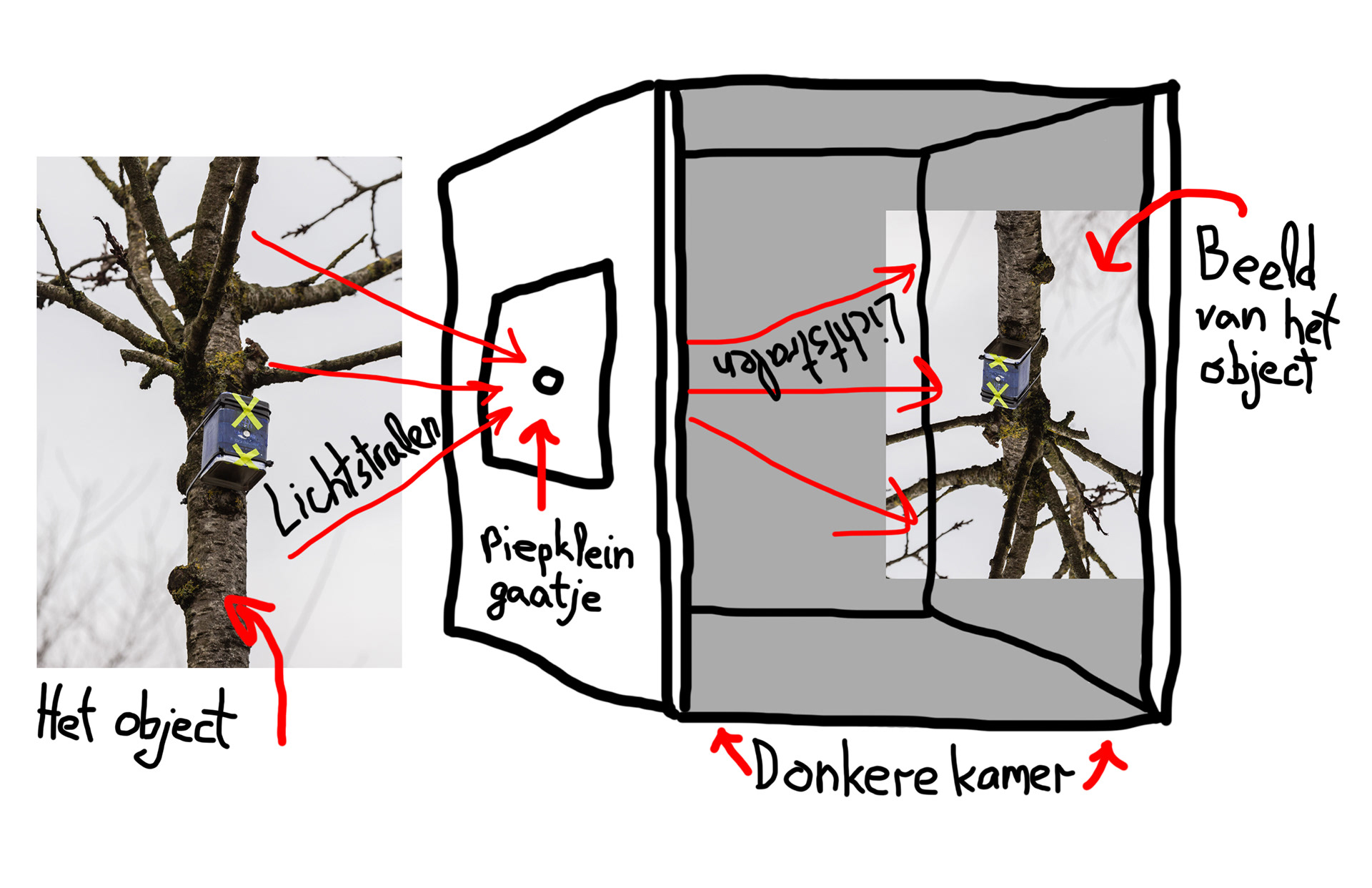 Drawing of Camera obscura by Monika Balu