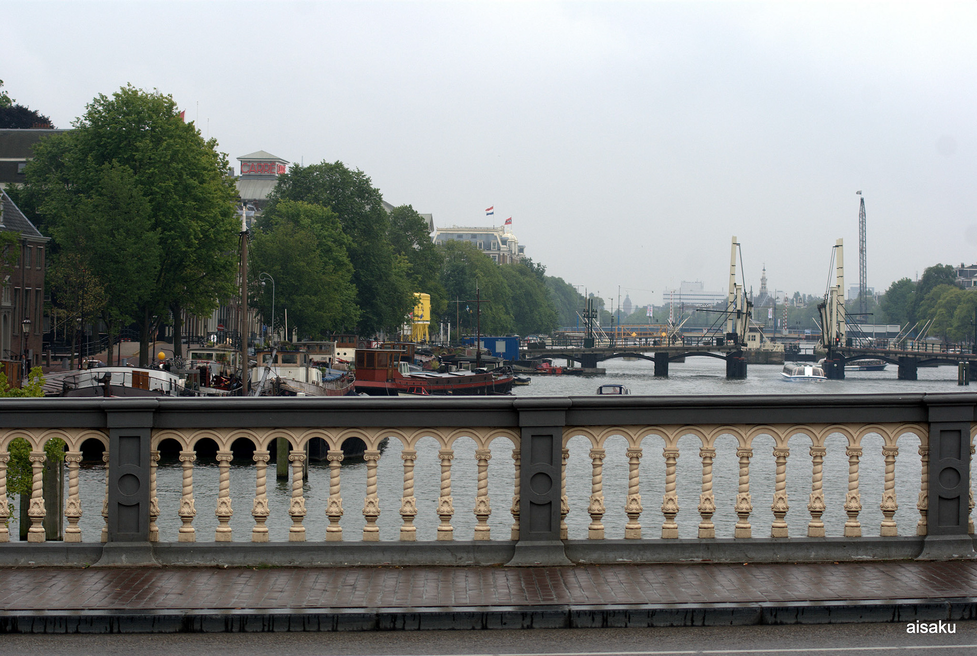 SONY DSC