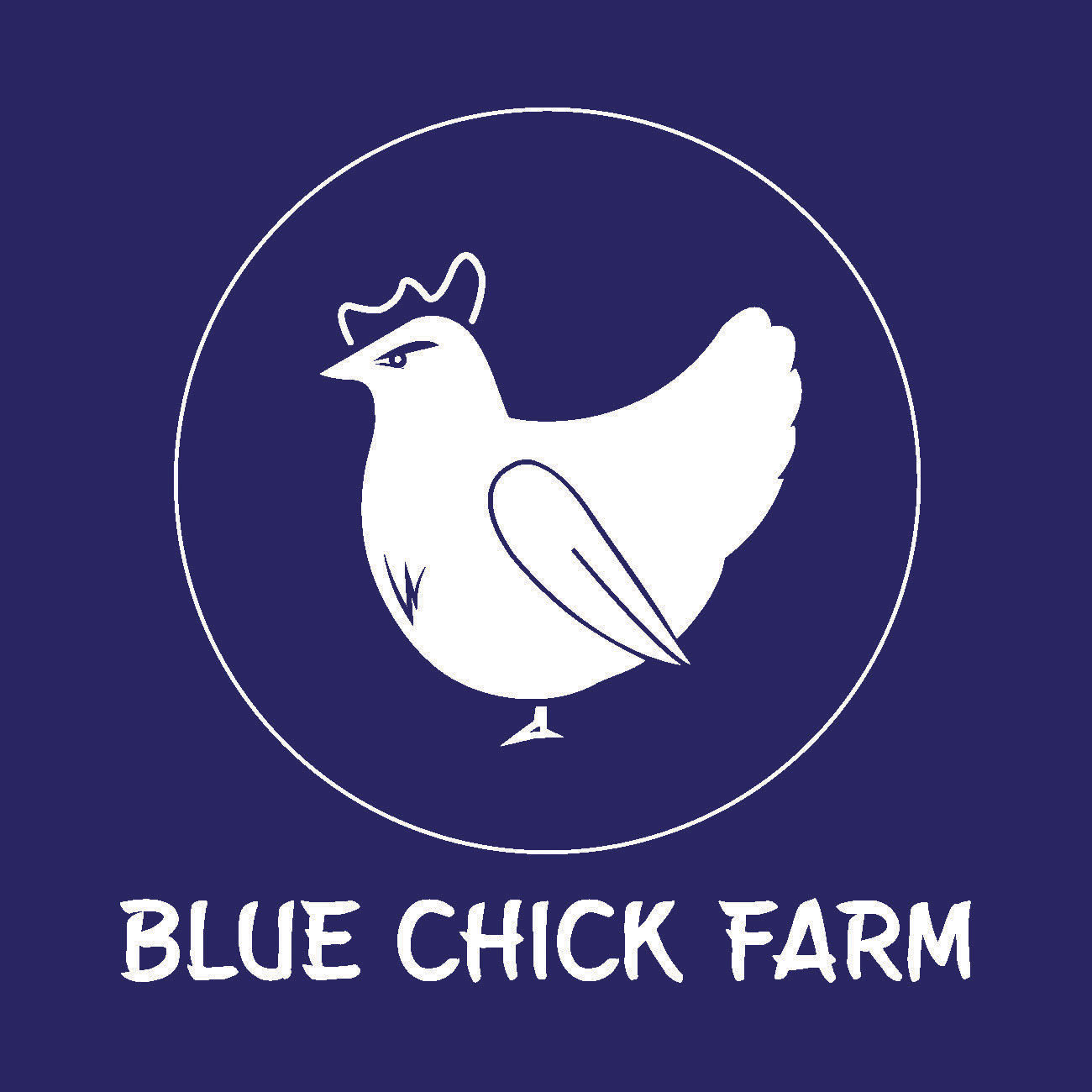 A reimaging or the orginial Blue Chick Farm logo for an urban farm in Phoenix.