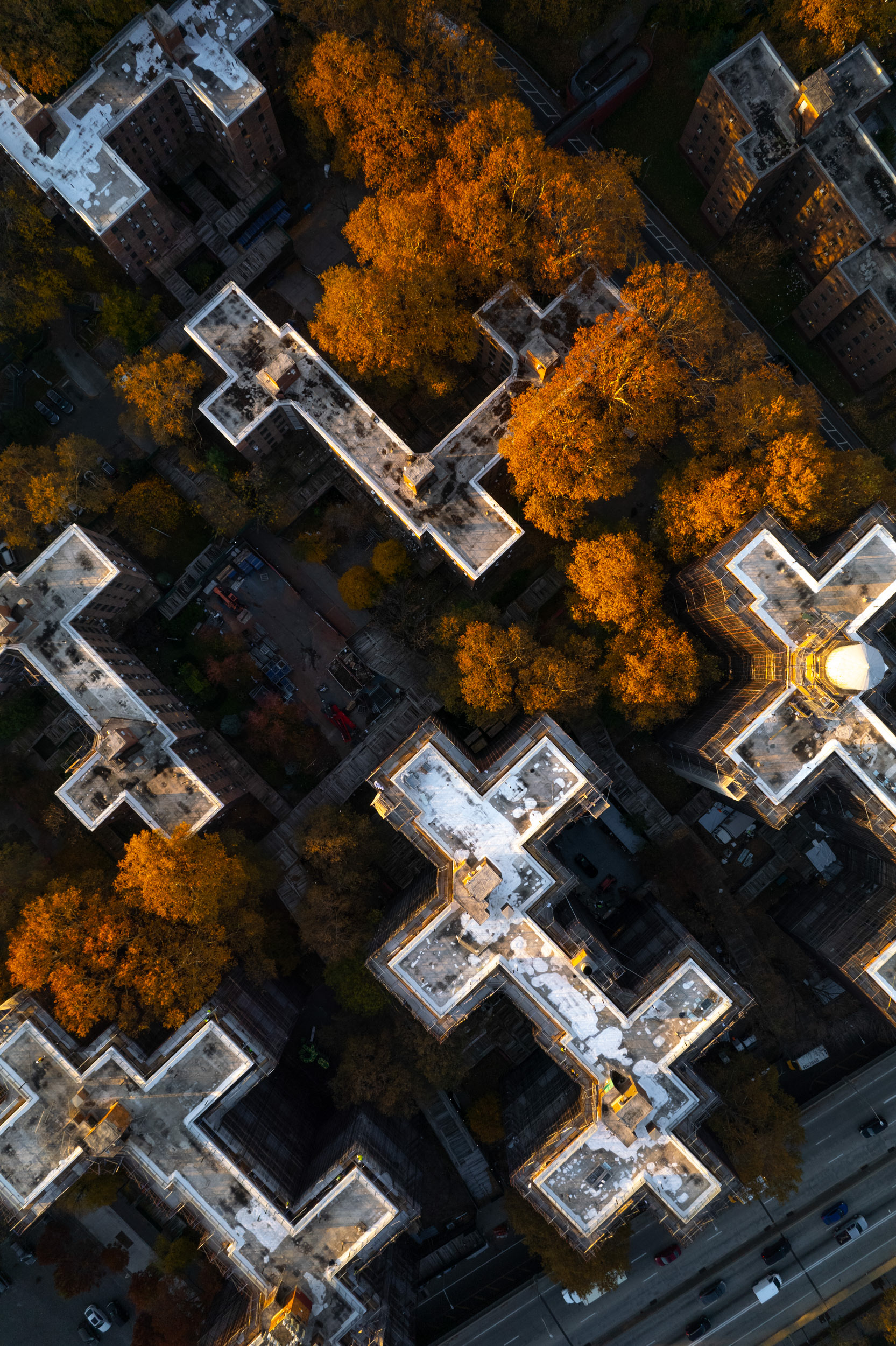 Public housing in Brooklyn, New York City in autumn with orange trees.