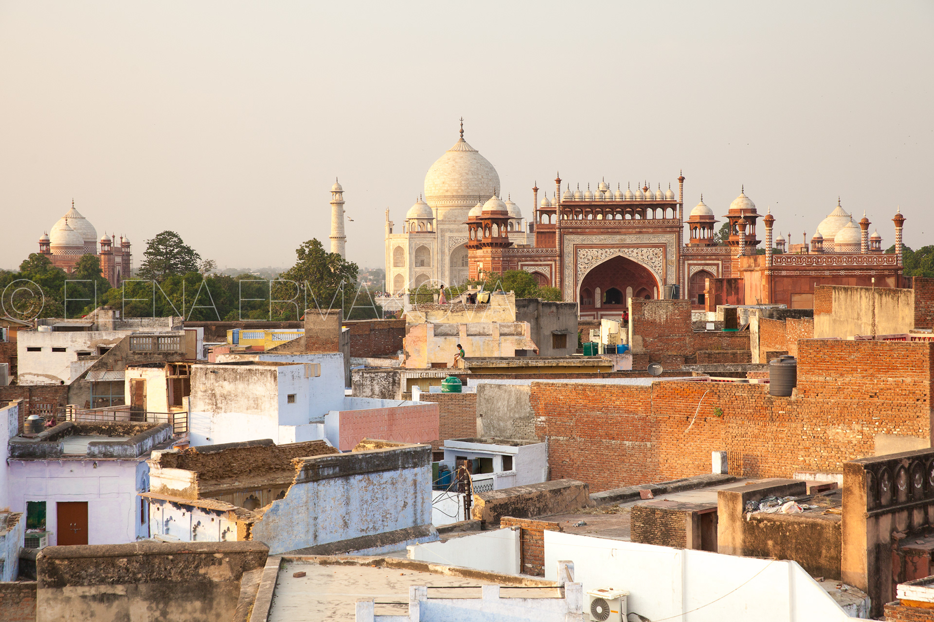 The view of Taj Mahal from the roof of Taj Ganj area, Agra, India.