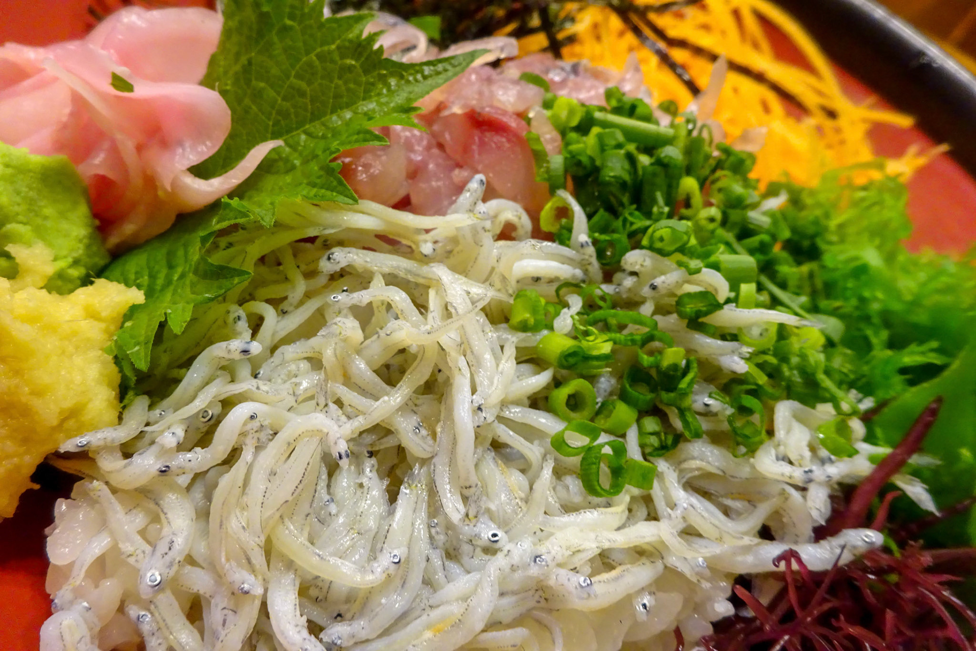 定番のしらす丼。ちょっと高めのやつ。