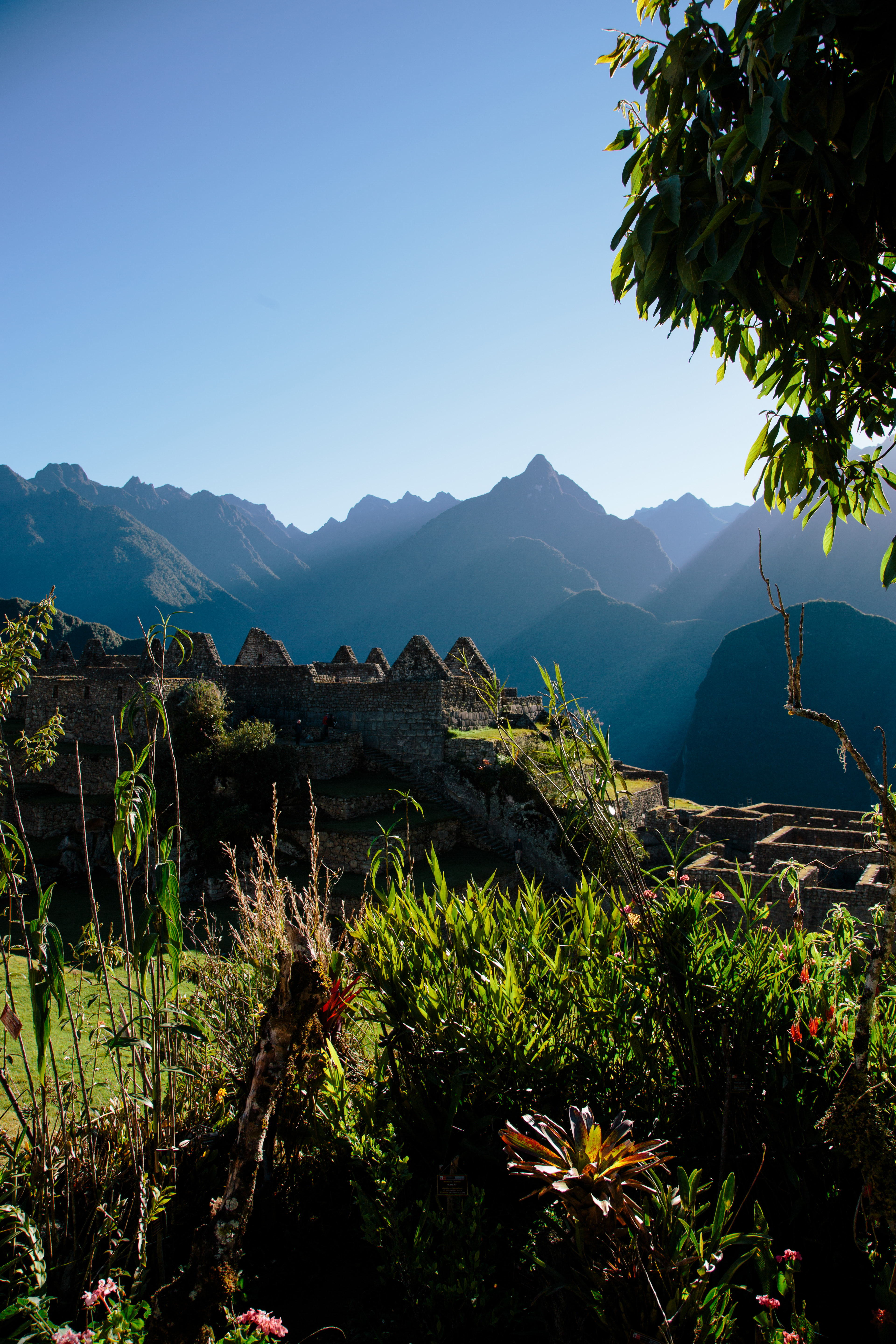 Machu Picchu