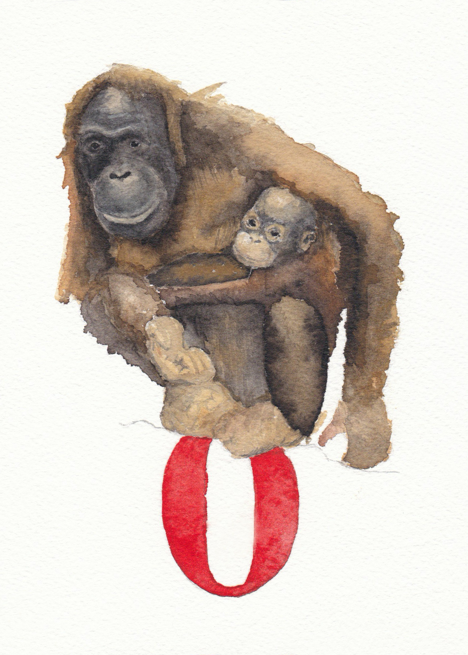 O is for Orangutan
