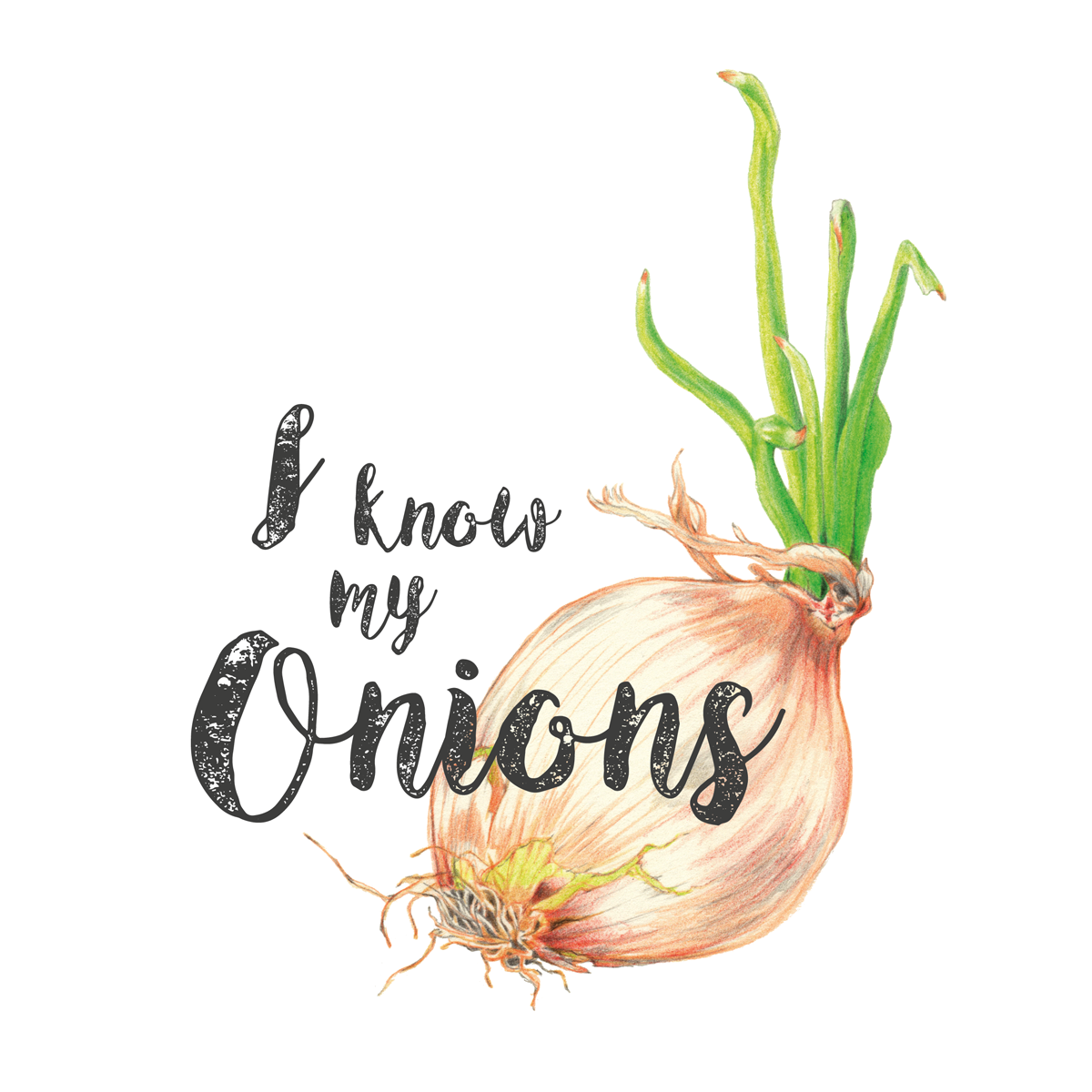 I know my onions, colored pencil illustration