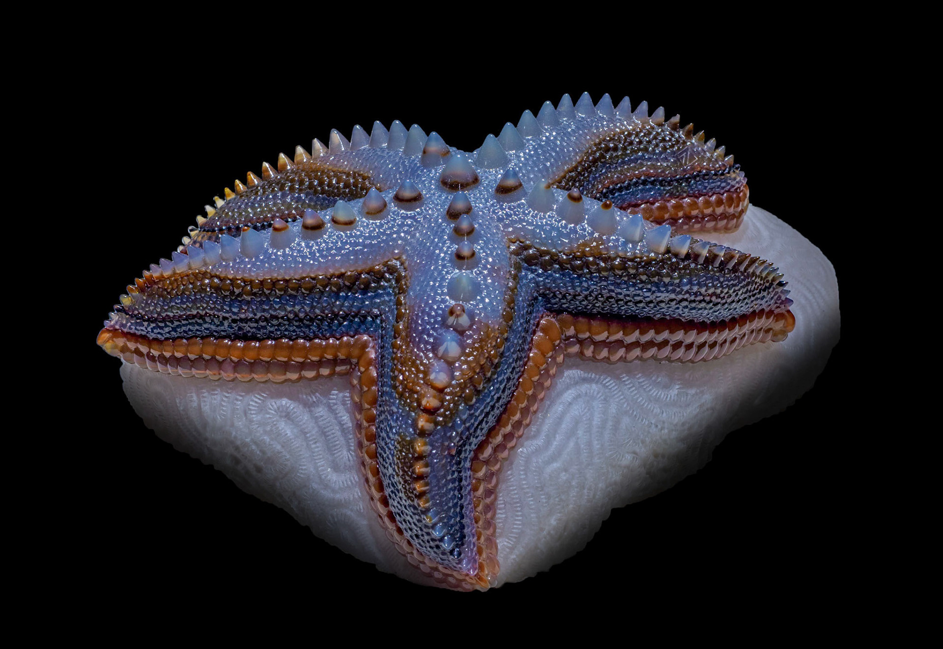 Agate - Minas Gerais, Brazil