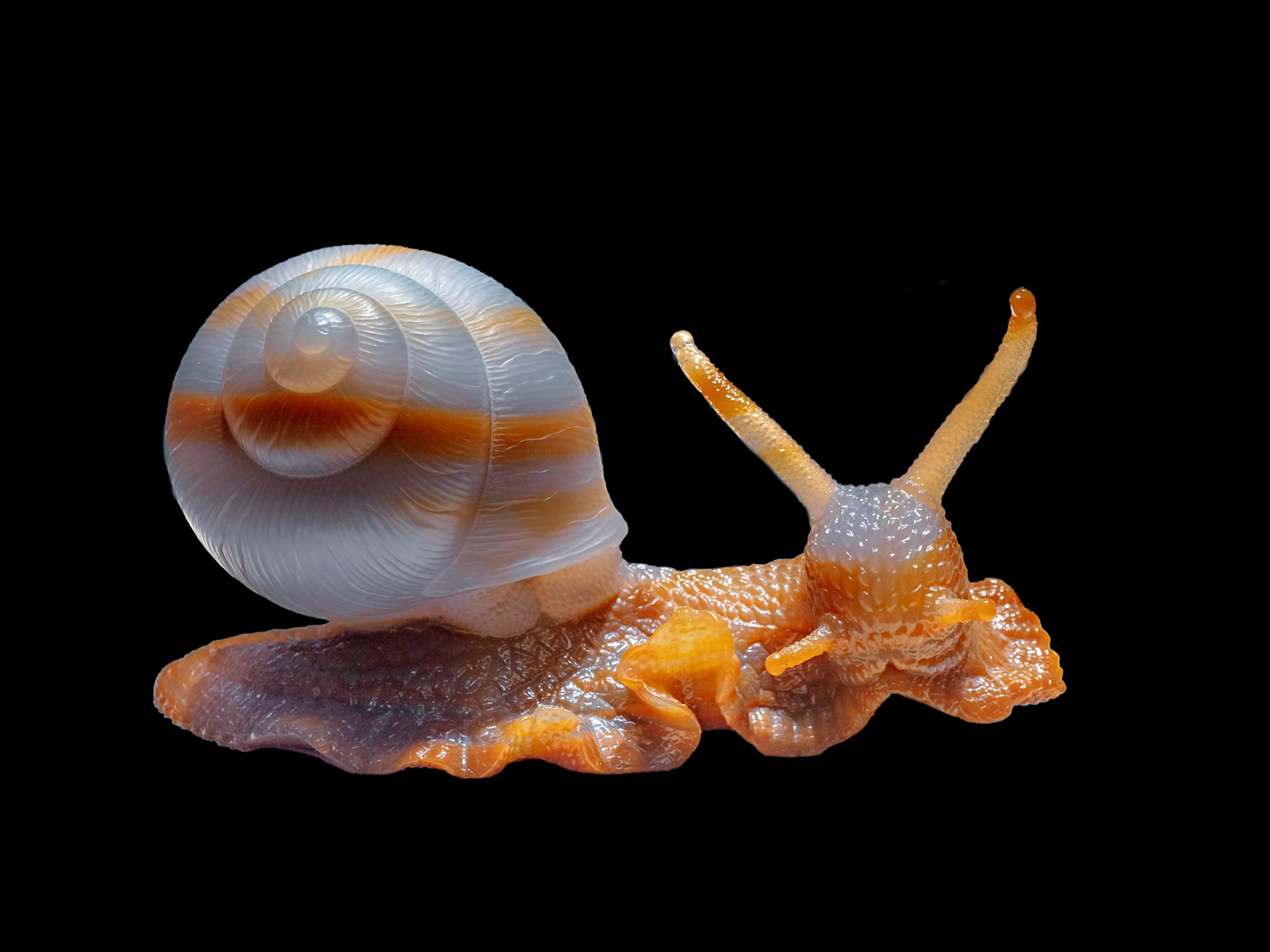 Agate - Minas Gerais, Brazil