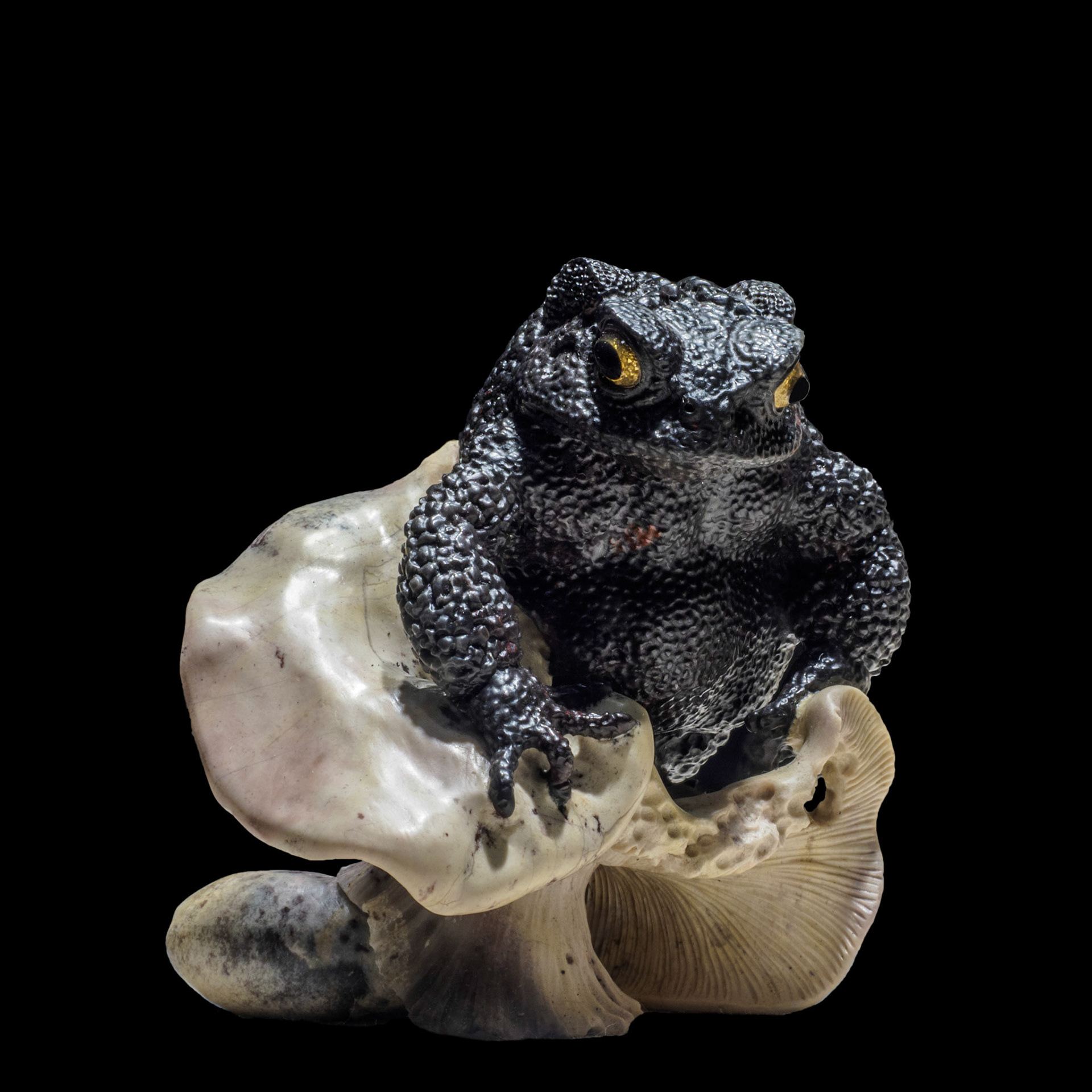 Black and White jasper - Caucasus Mountains, Russia