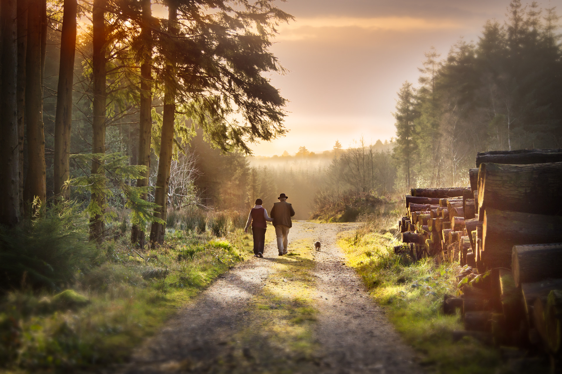 Evening stroll in the Slieve Bloom