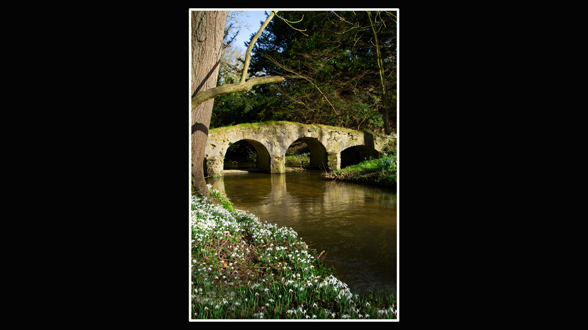 Walsingham