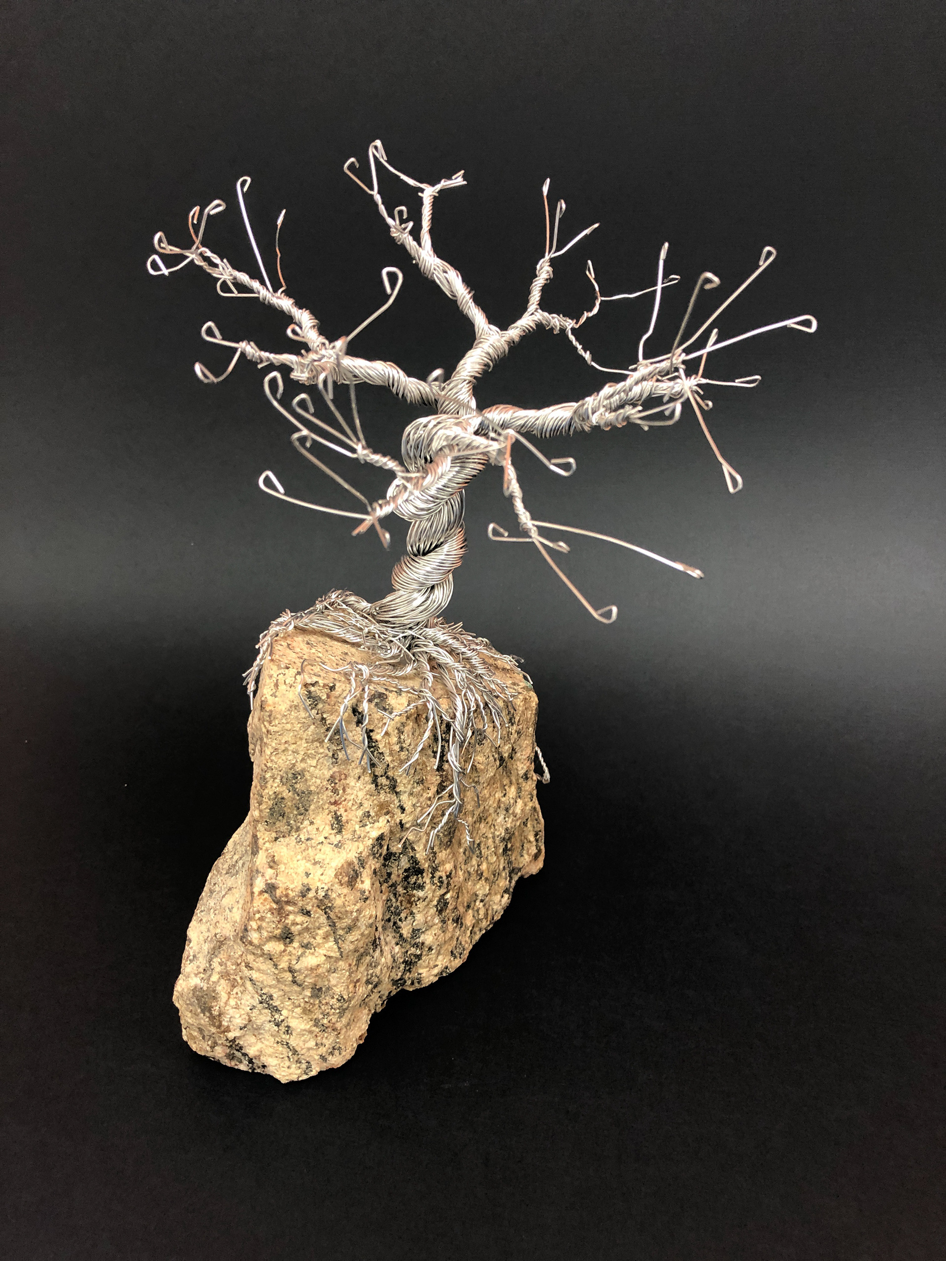 "New" | 8" x 5" x 4" | Wire and rock