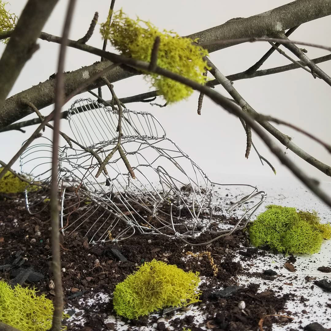 "Submerged" | 10" x 4" | Wire, tree branches, and moss
