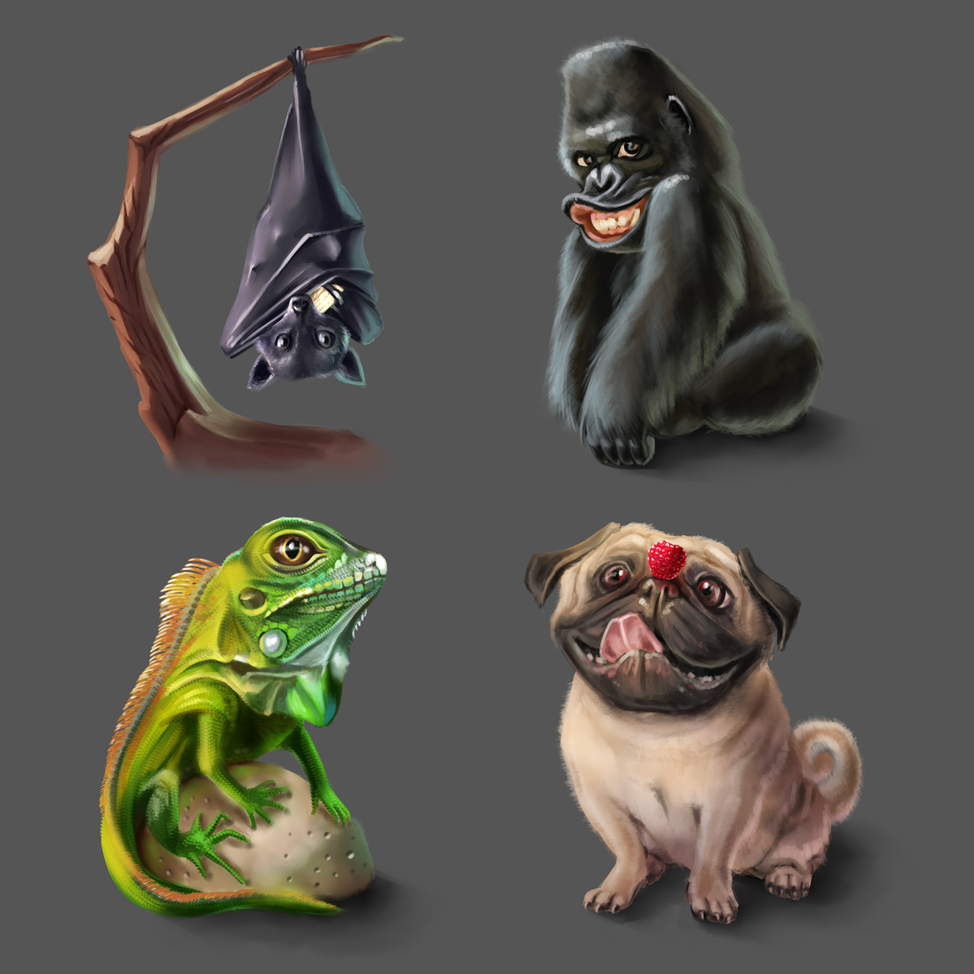 Animal studies
