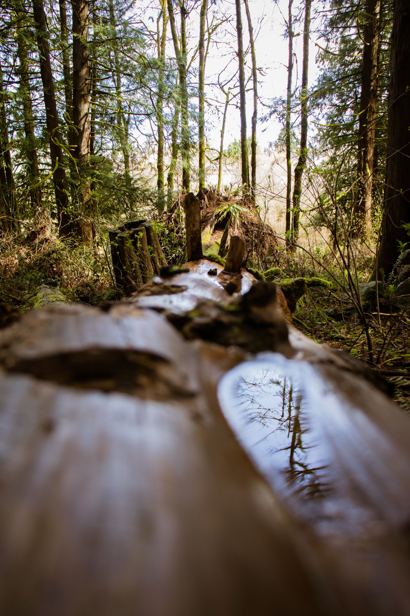 Gresham, Oregon