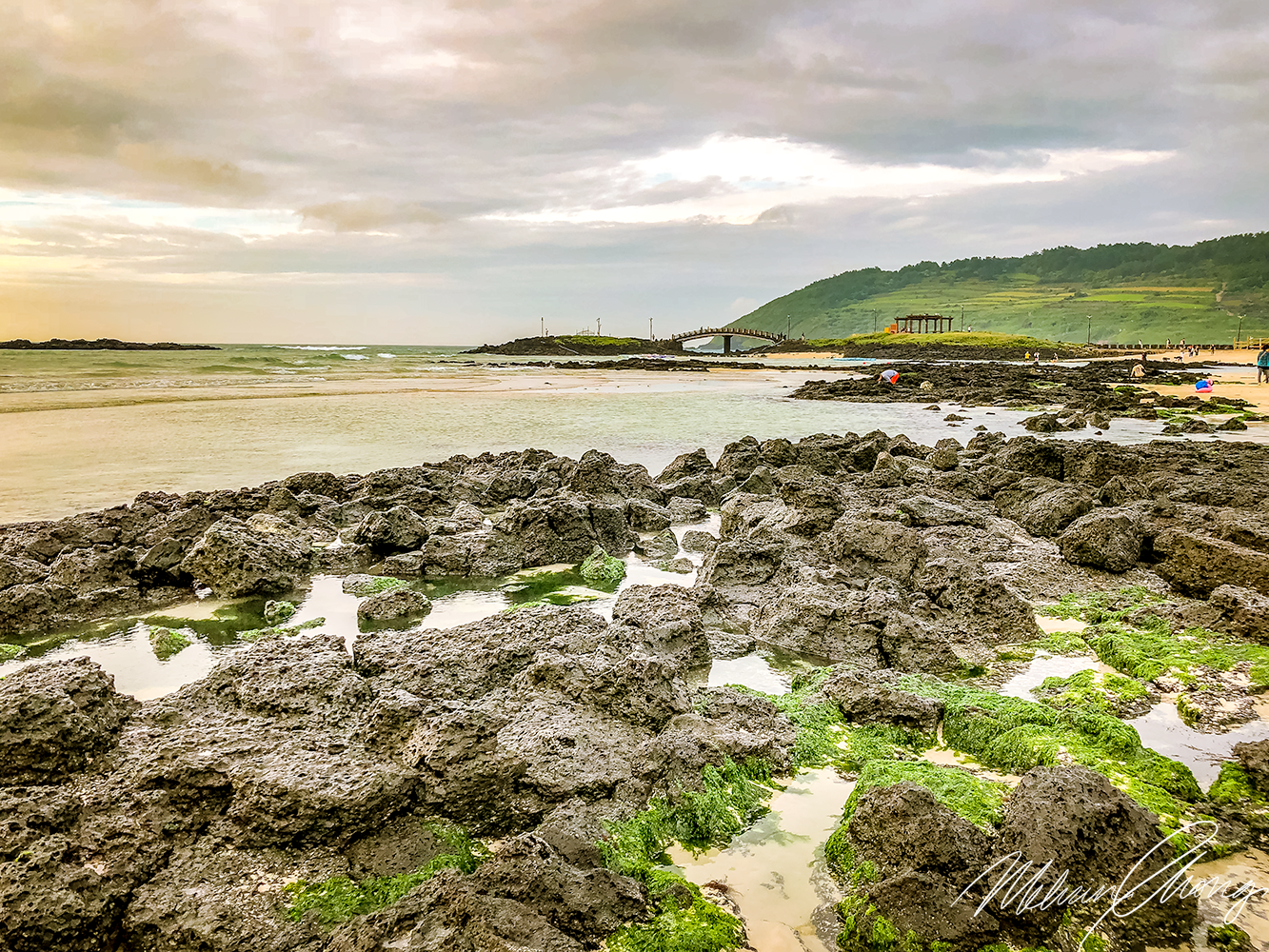 © July 2018 Melvin Chong | 0491