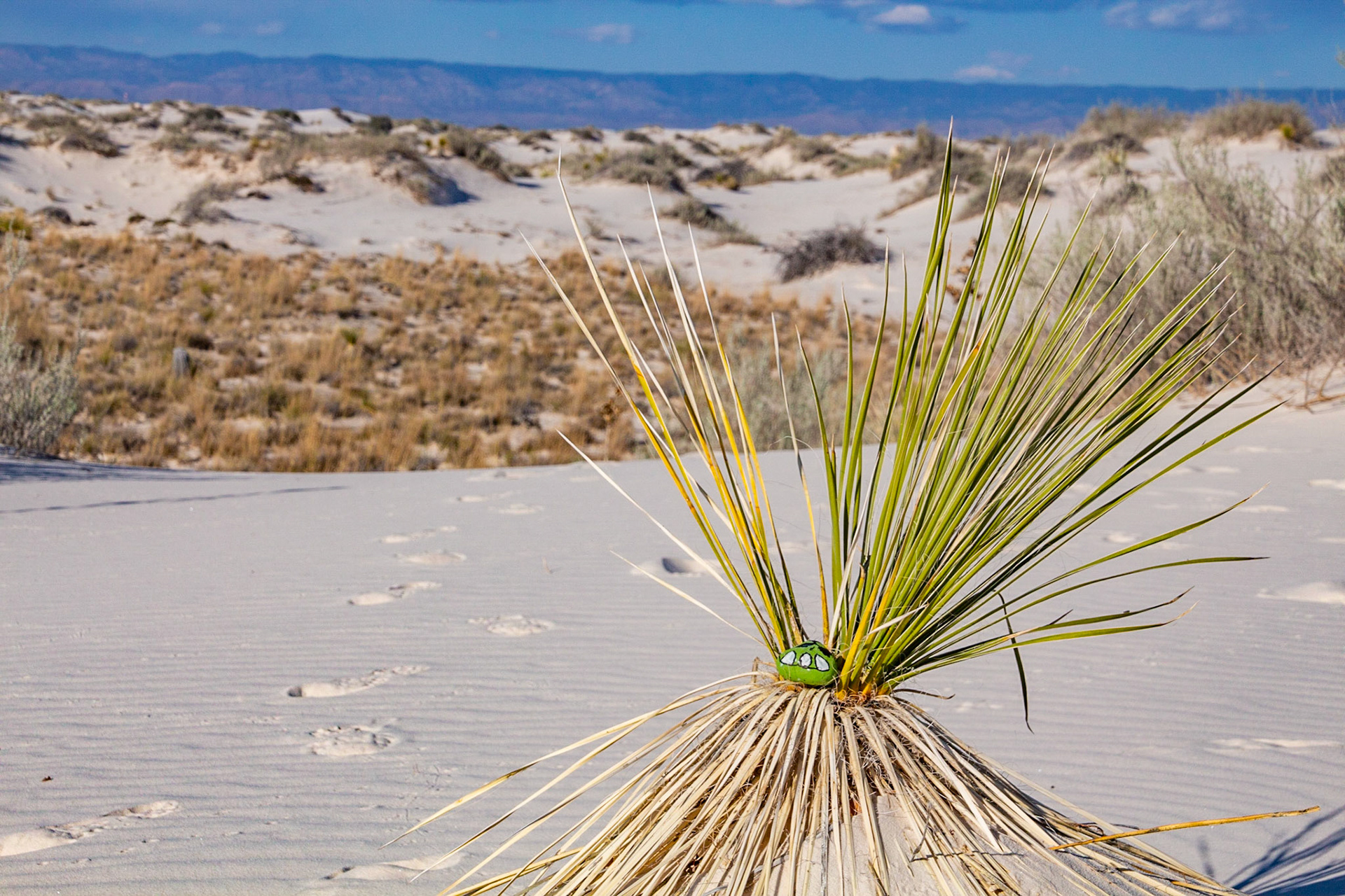 White Sands National Monument, NM