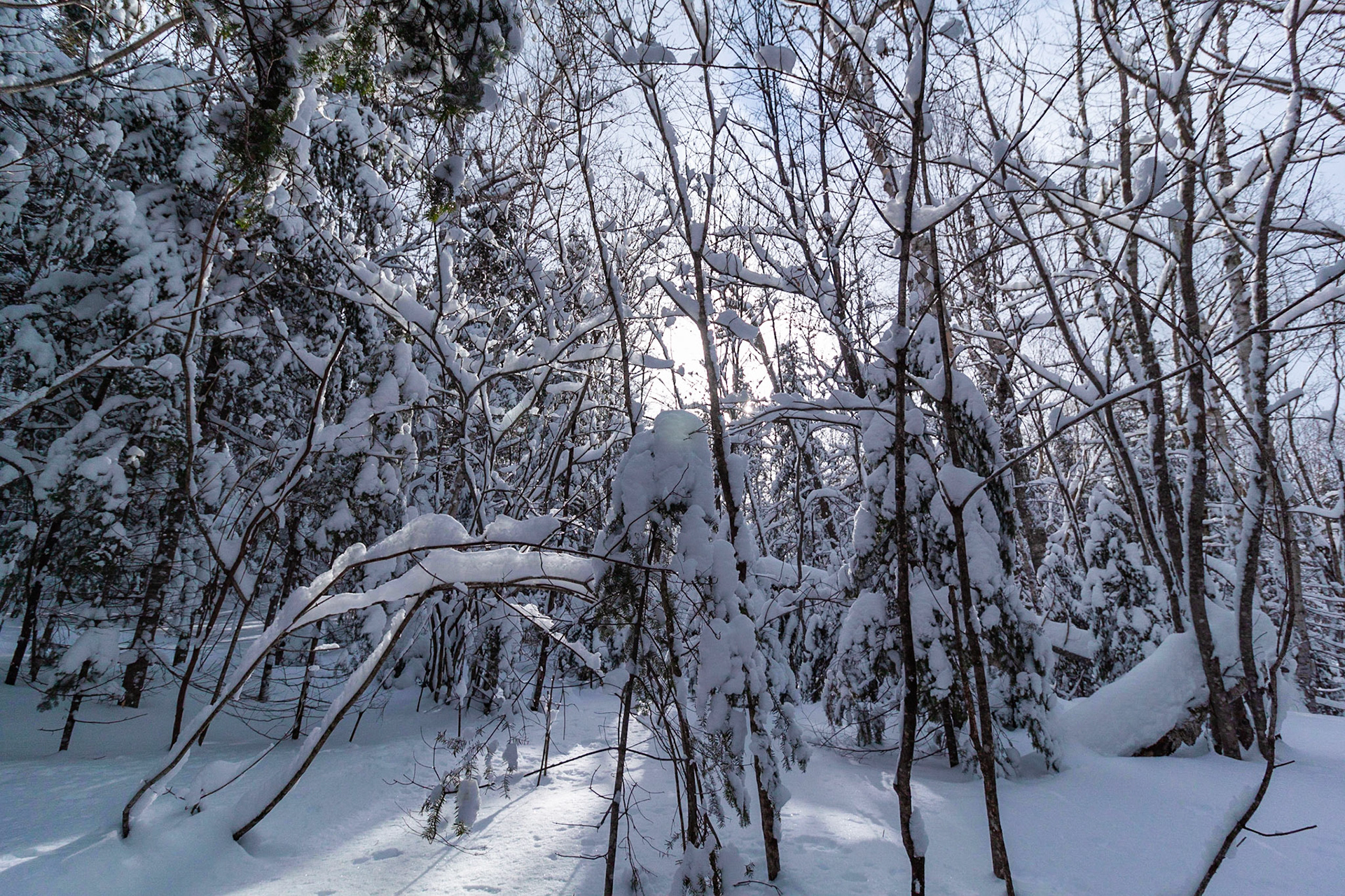 Parc Régional du Lac Taureau