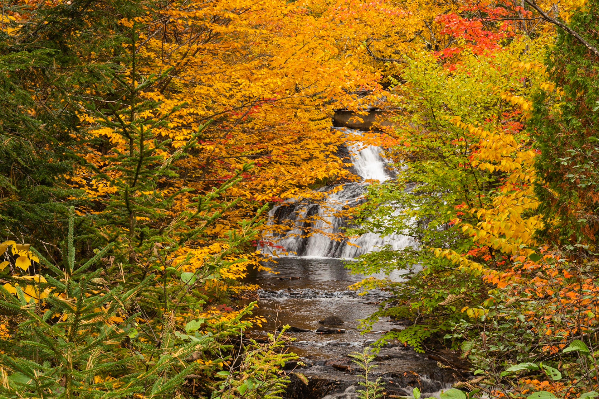 Chutes