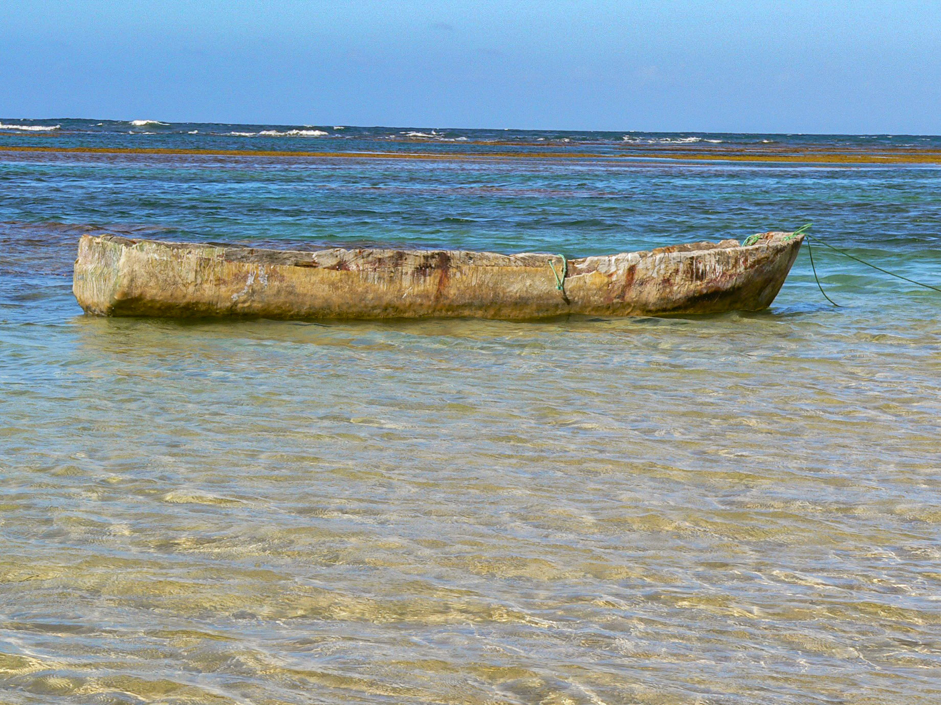 Savmna (République Dominicaine) 2008-02