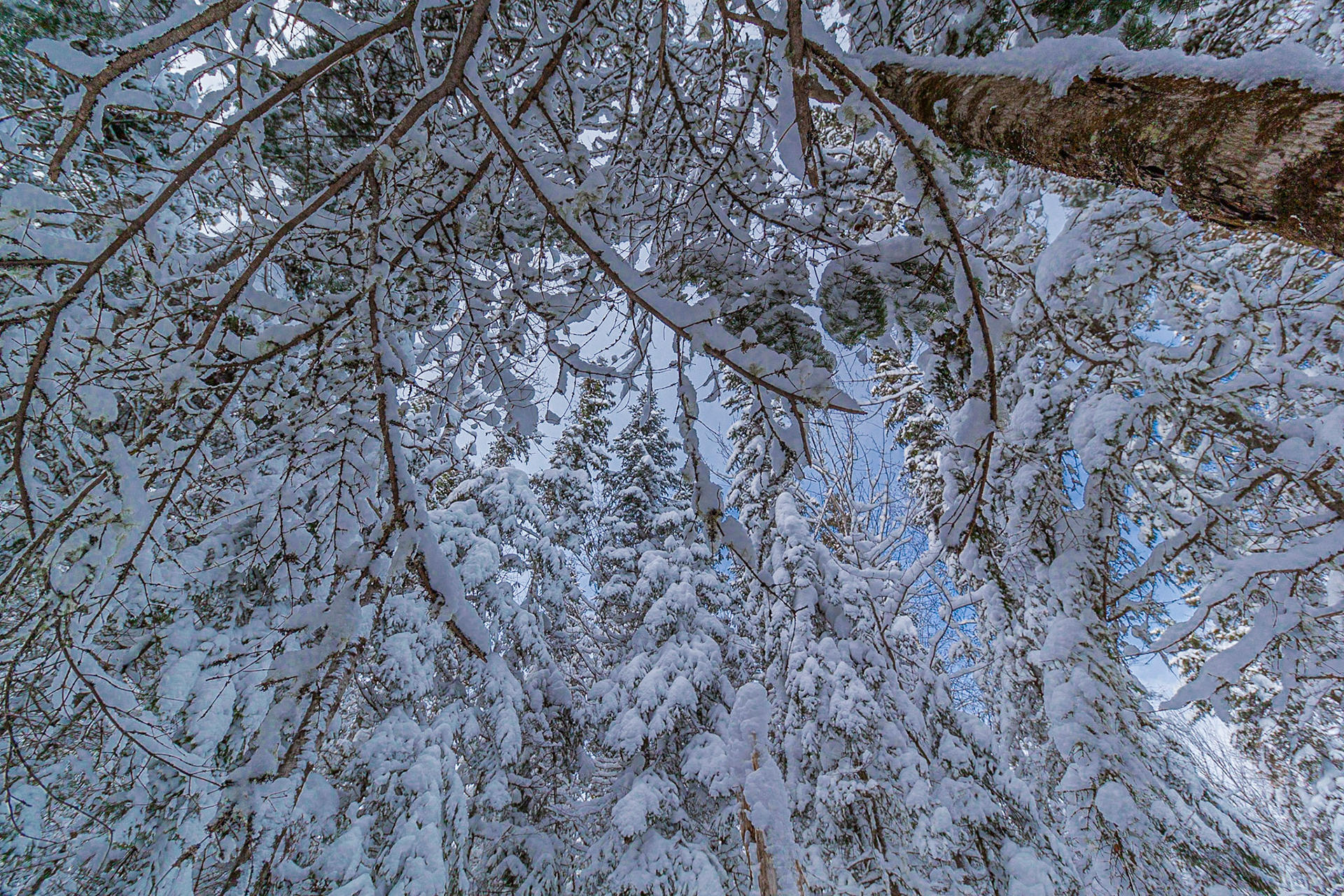 Parc Régional du Lac Taureau