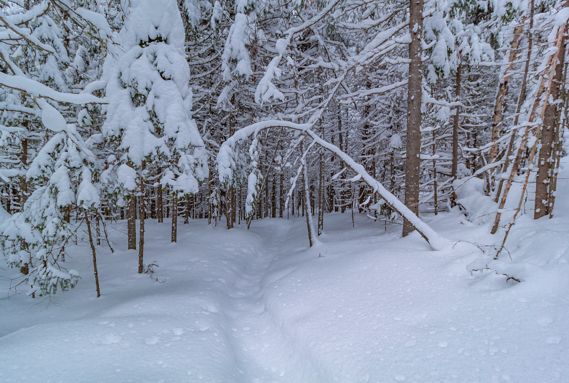 Parc Régional du Lac Taureau