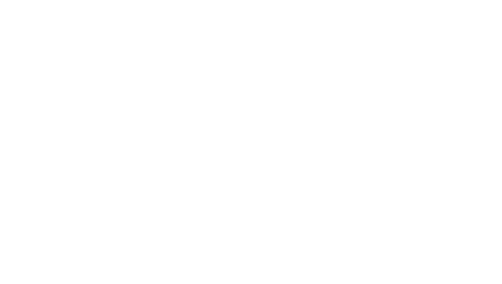 Dynamic Sports Media