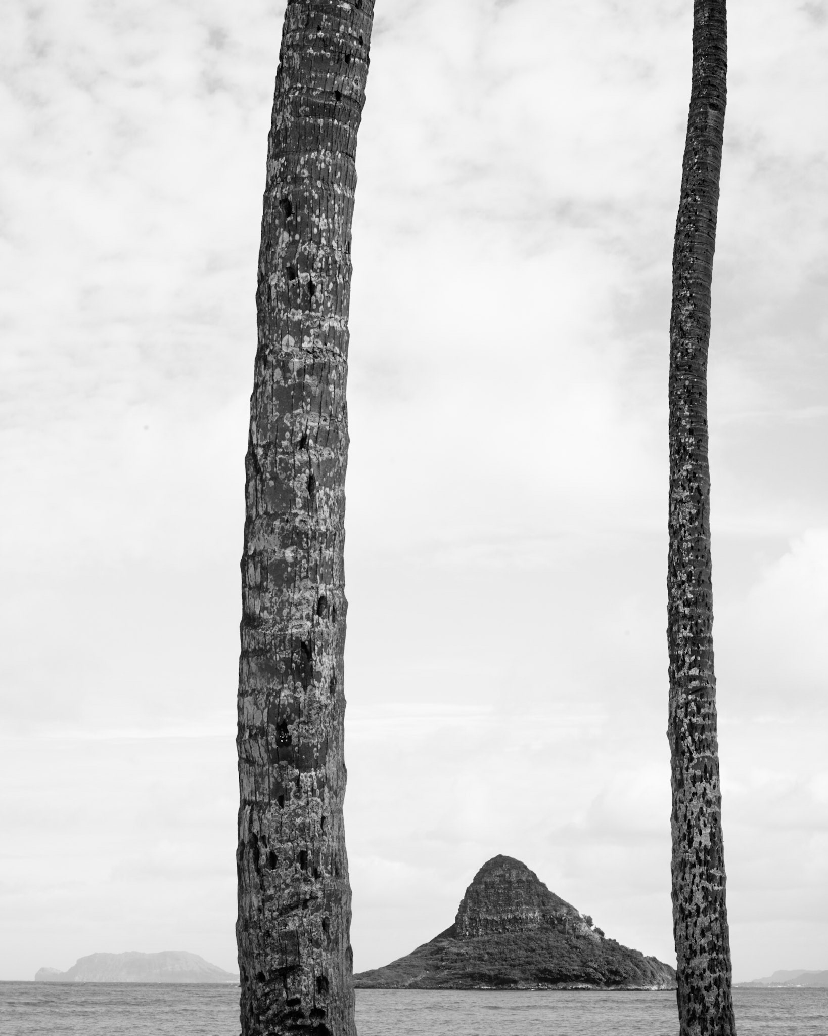 View from Kualoa Park, Oahu Hawaii 2016