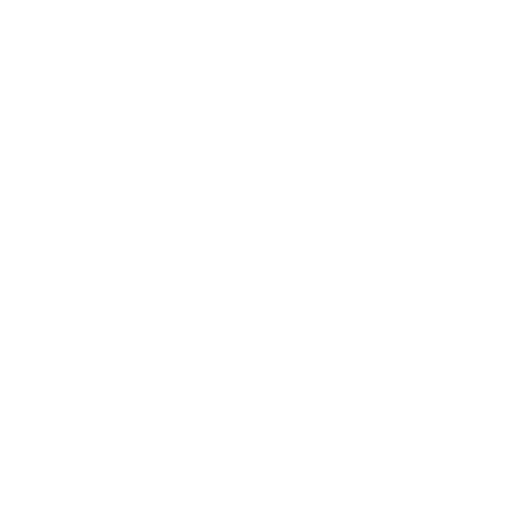 Arise Luxury Group