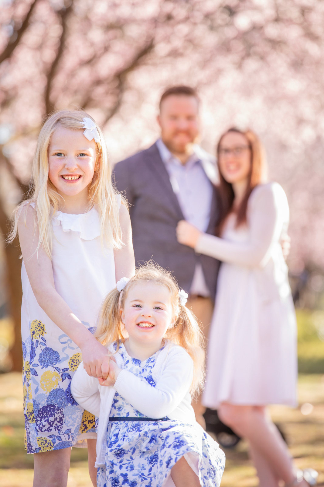 Family photo session in Canberra in the beautiful cherry blossoms.