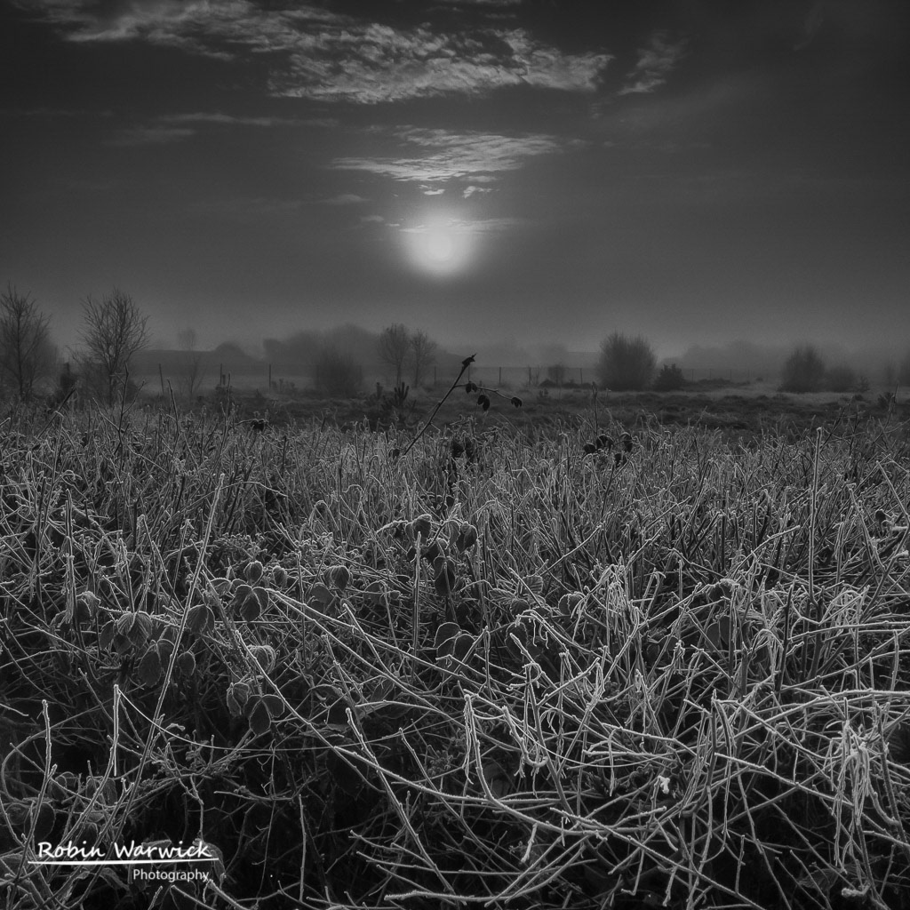 Morning Mist Over Ascot Racecourse