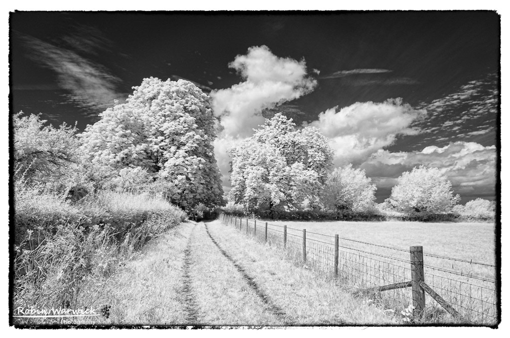 Thames Path to Days Lock