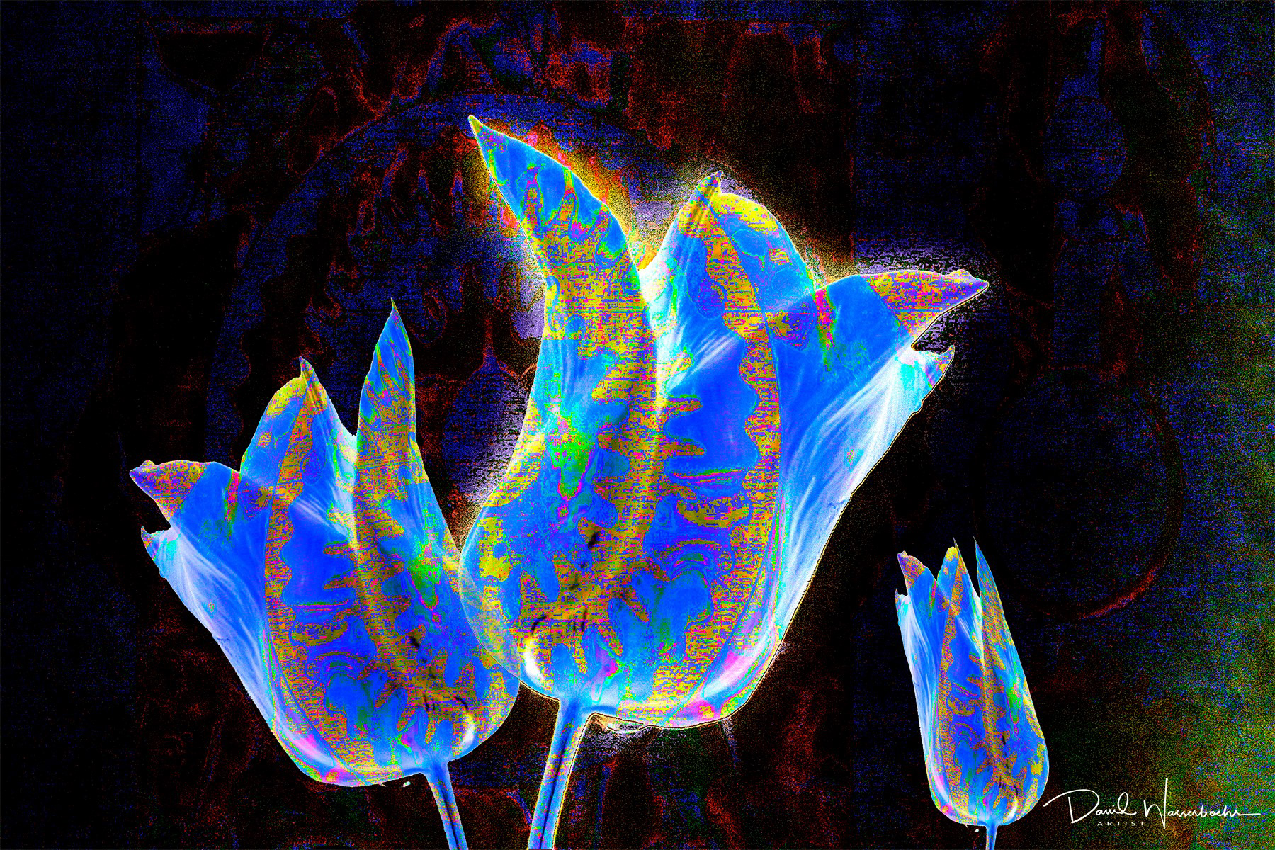 David Wasserboehr Wizard of Oz Flowers