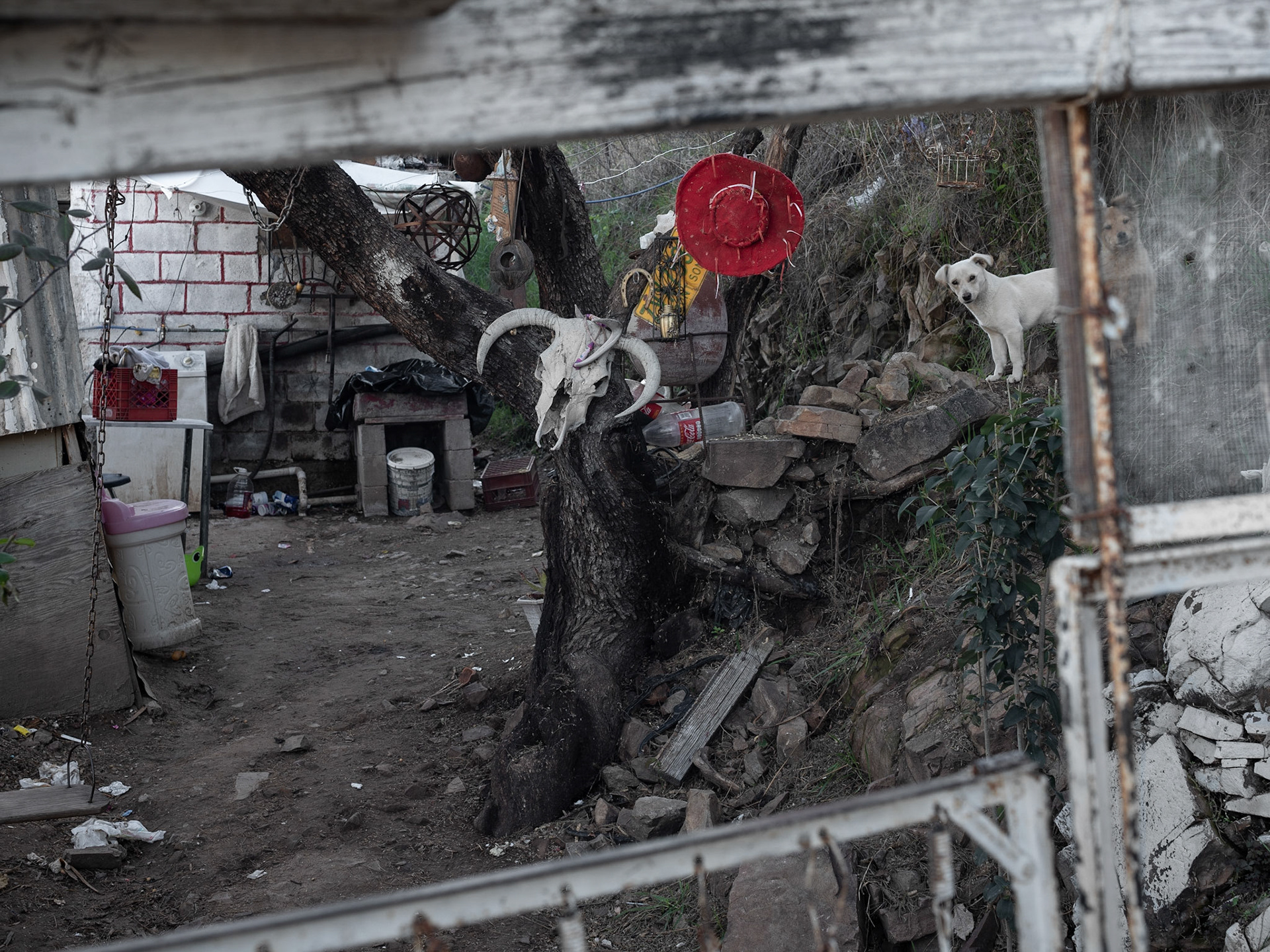 Nogales, SN