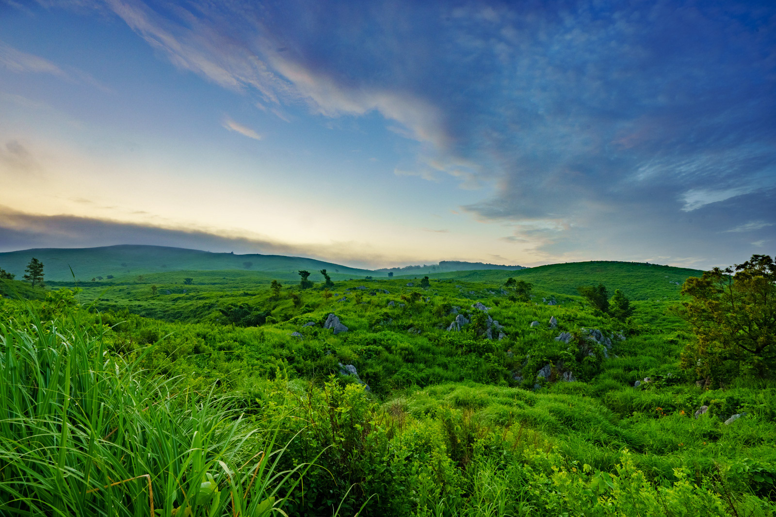 秋吉台 カルスト台地1