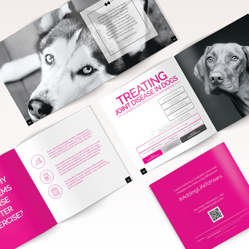 PetFit Understanding Joint Disease in Dogs Booklet