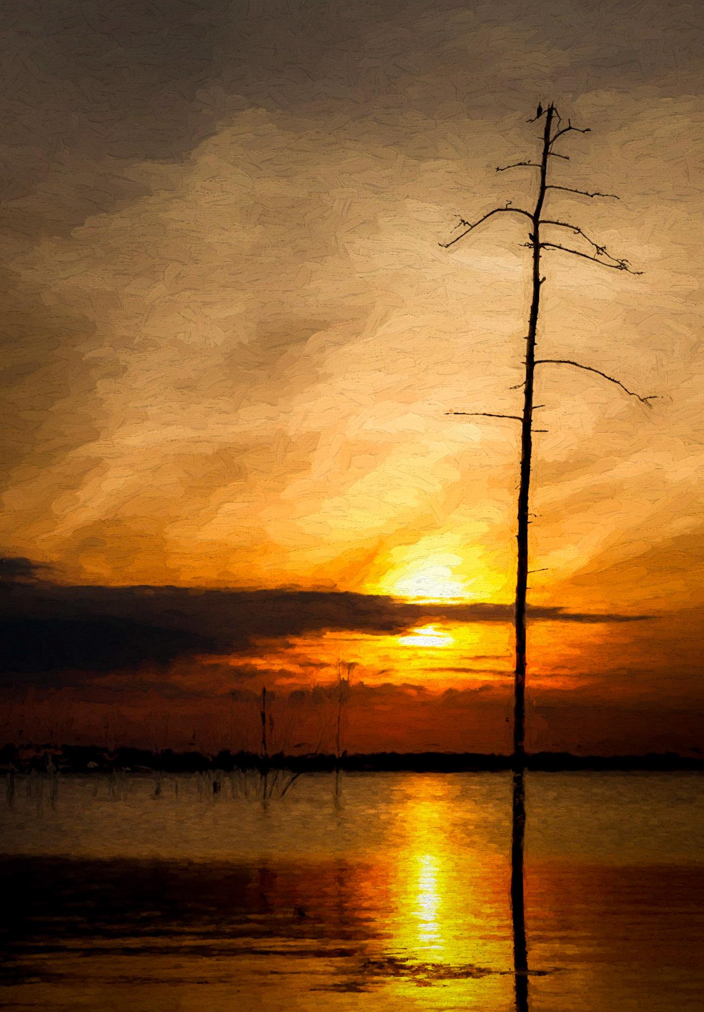 Summer warmth @ the Manasquan Reservoir. Monmouth County Parks are the best! www.attanasioimagery.com Prints are always available!