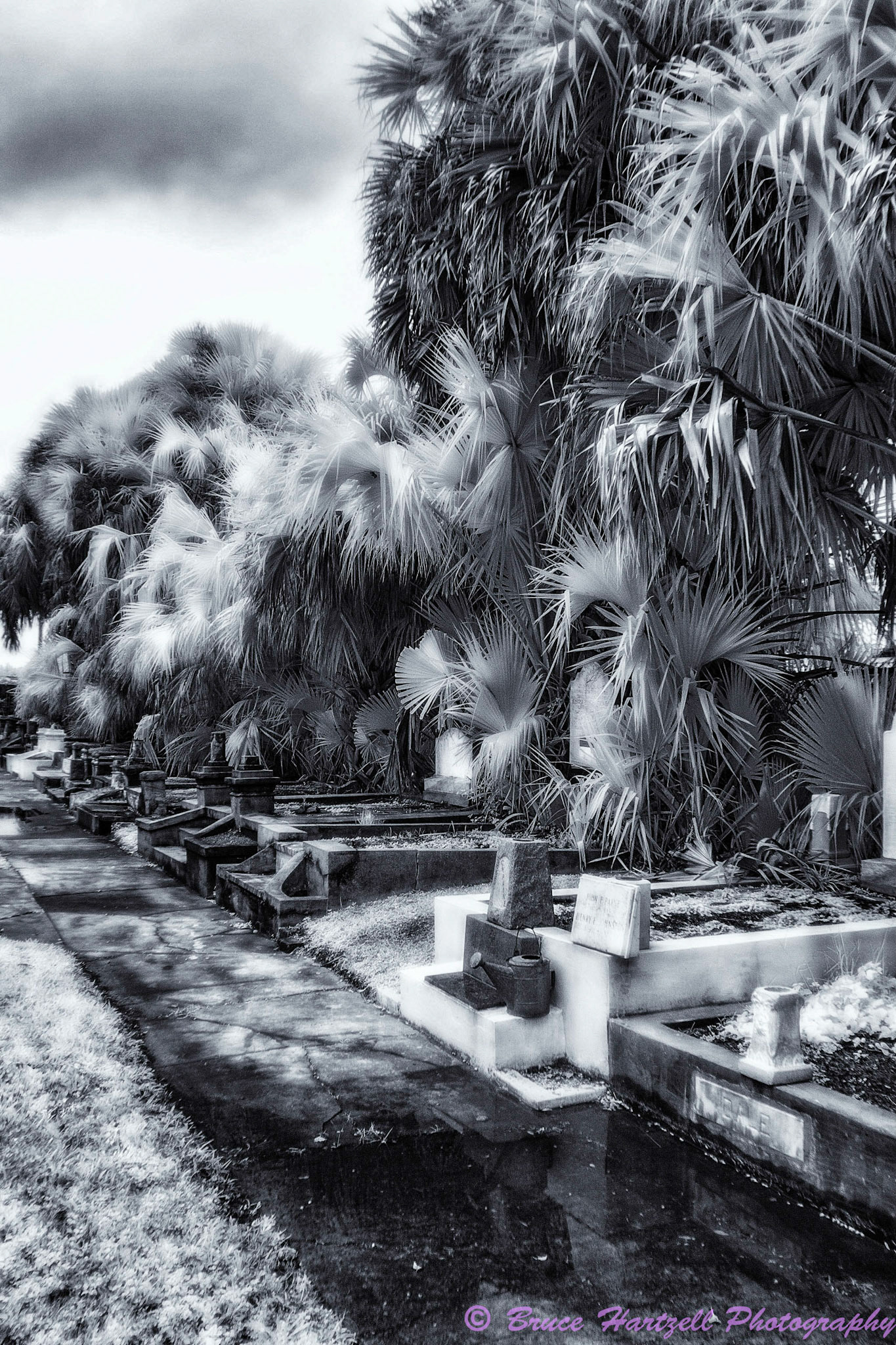 Oddfellows Cemetery, New Orleans, Louisiana. Infrared. PS, LR, Silver Effects Pro adjustments. See and share more like this at:  http://aayyeeee.myportfolio.com