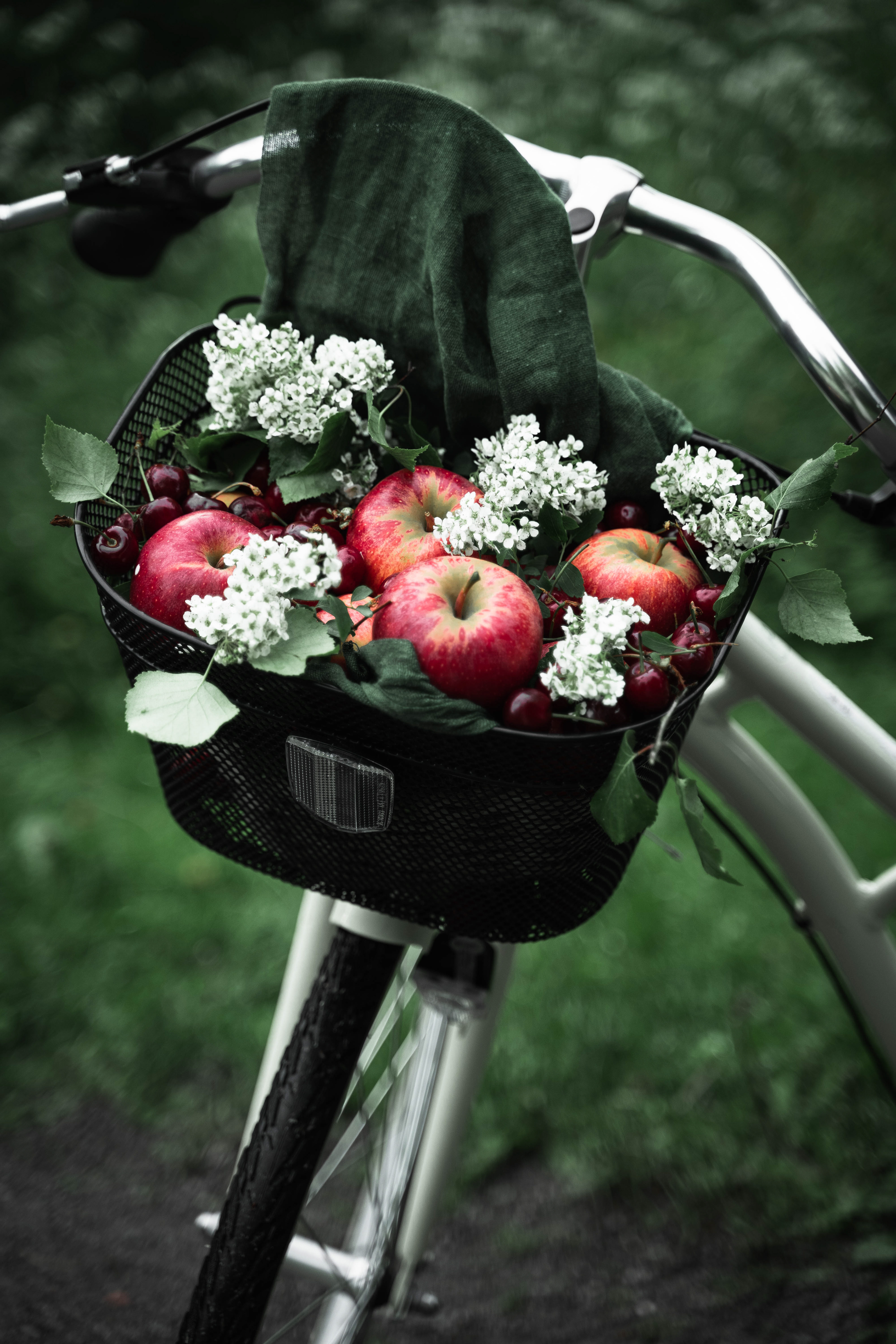 Outdoor Photography